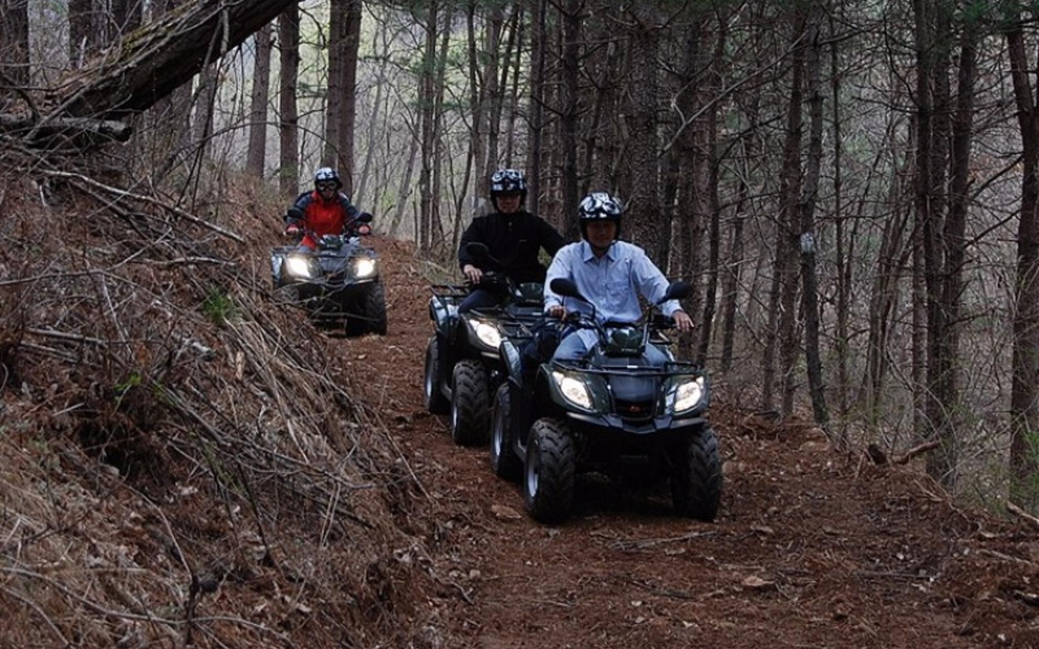 Gapyeong Lavita Glamping Pension