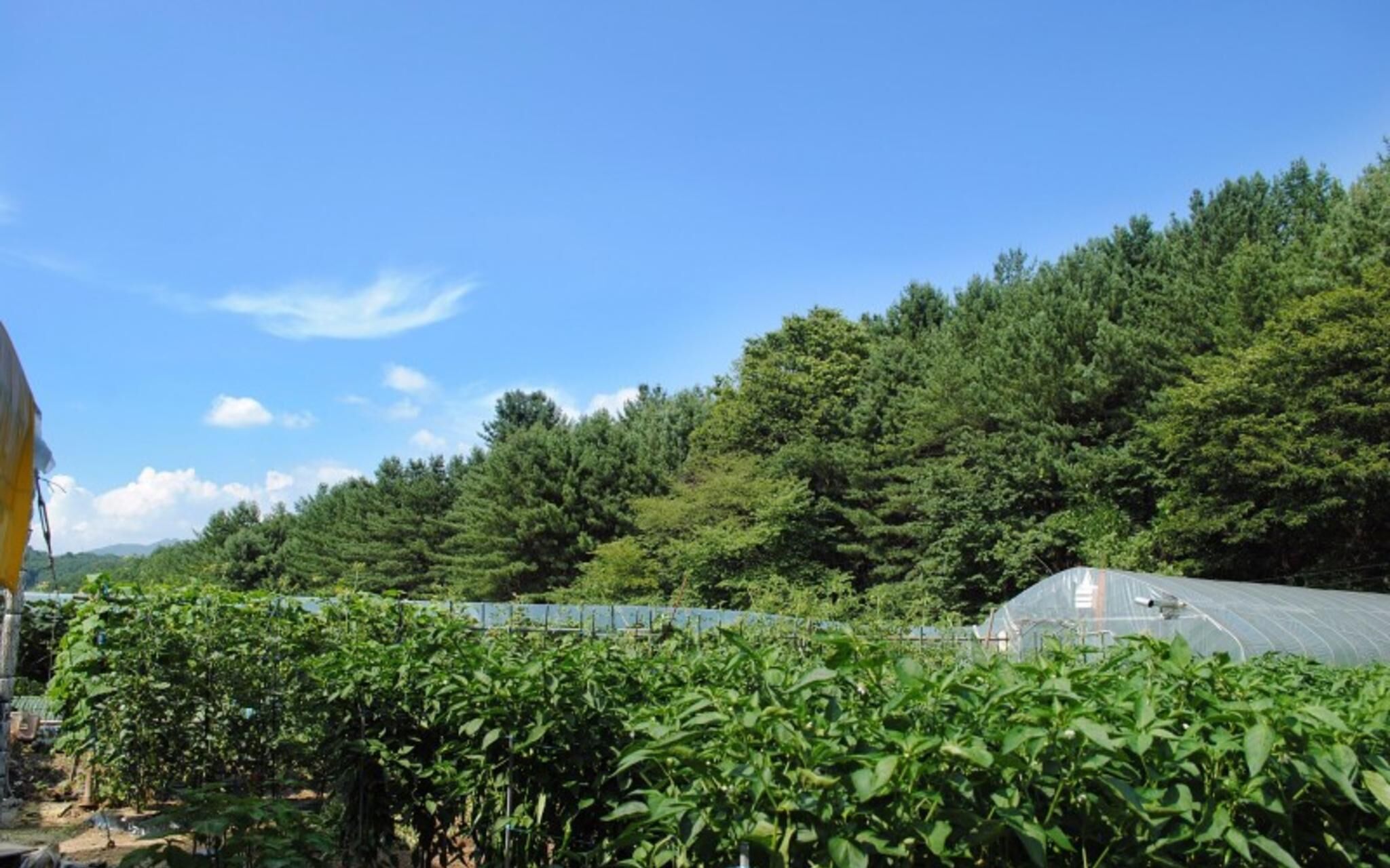 Gapyeong Nokcheon Glamping Pension