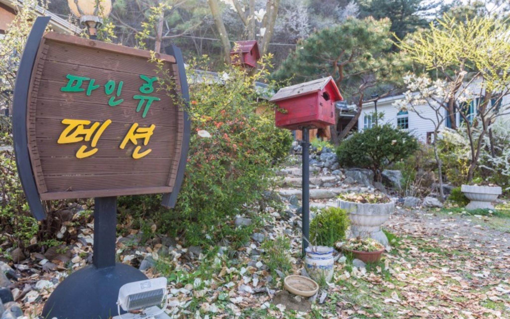 Gapyeong Pine Hue Pension