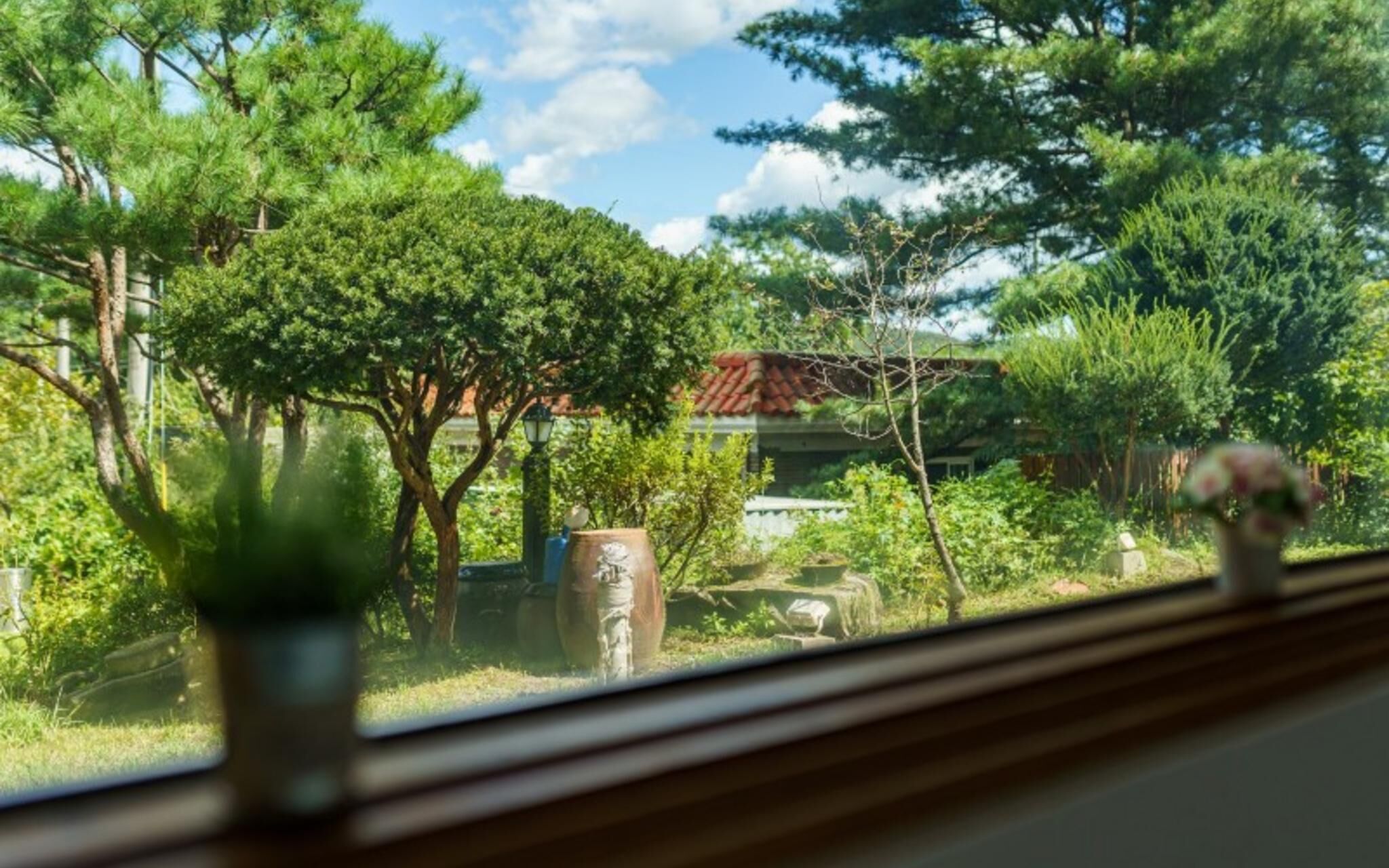 Gapyeong Pine Hue Pension