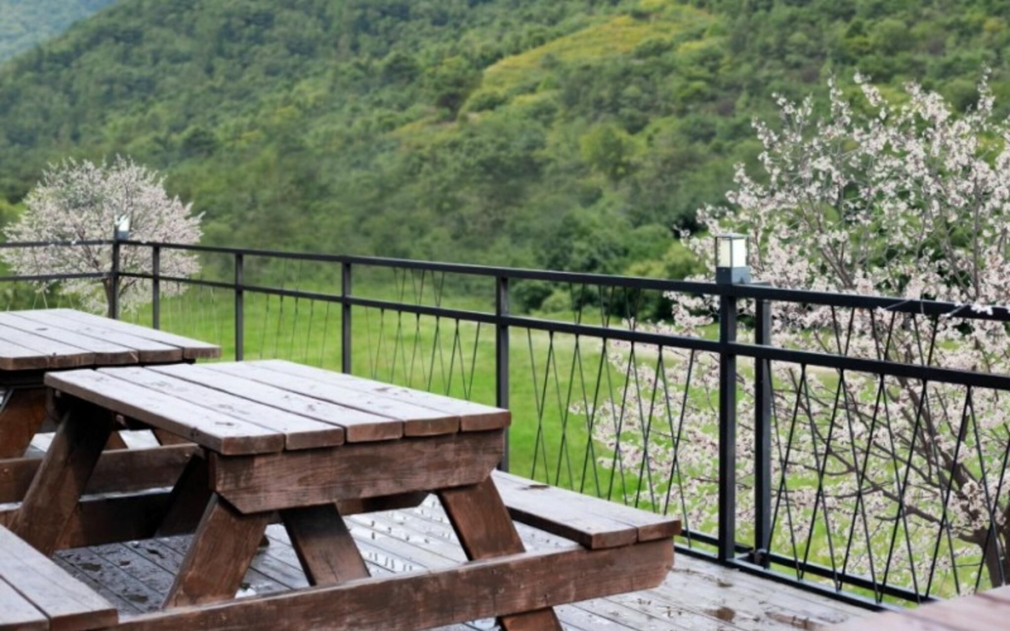 Gapyeong Pitch Coco Kids Pension