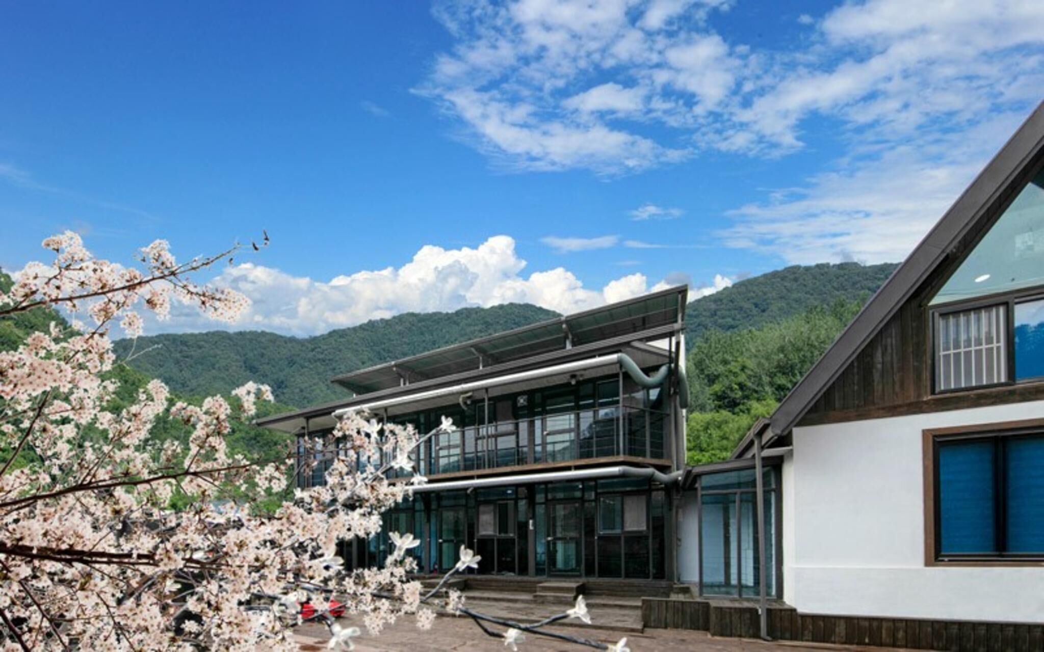 Gapyeong Pitch Coco Kids Pension