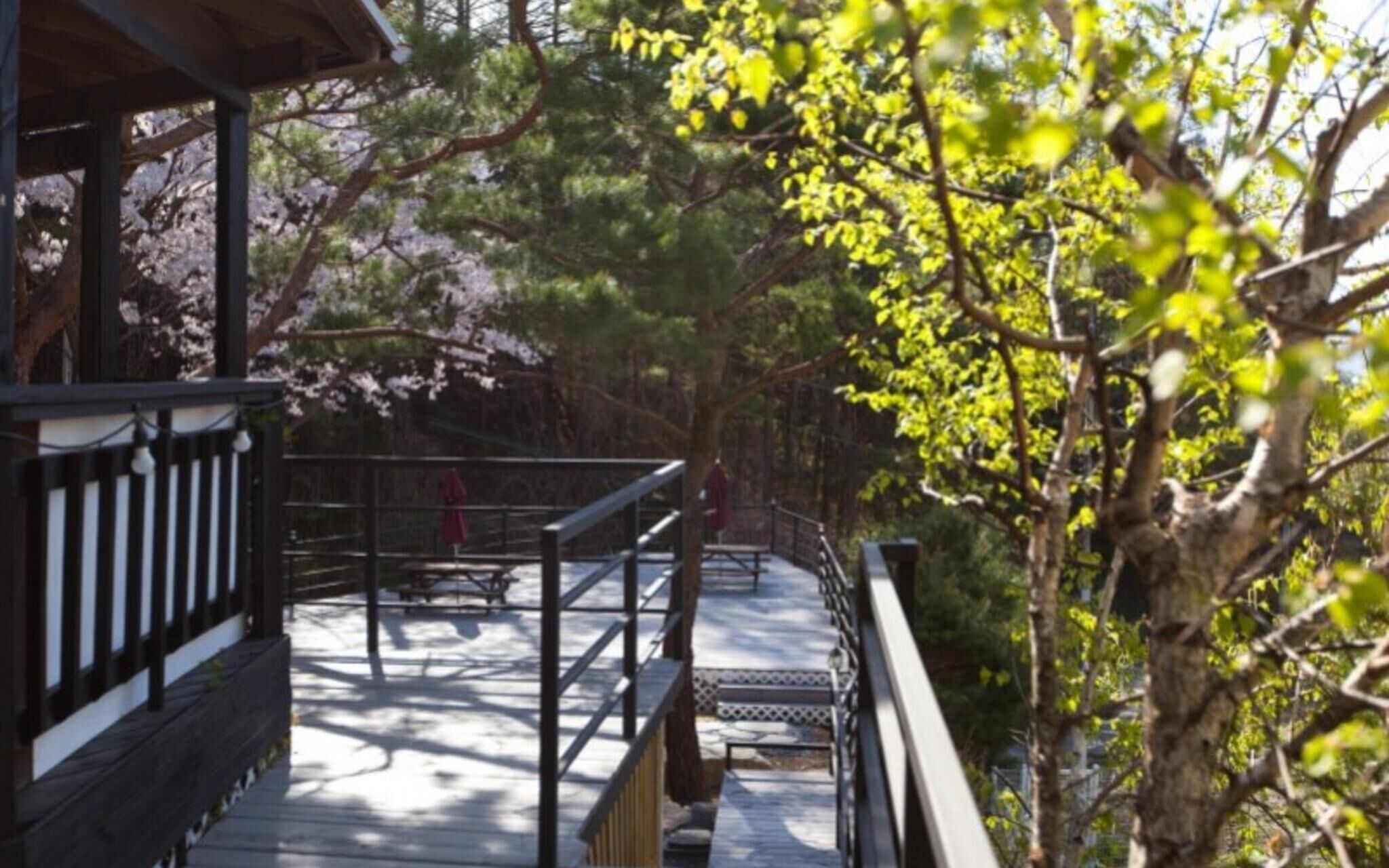 Gapyeong Princess of the Forest Pension