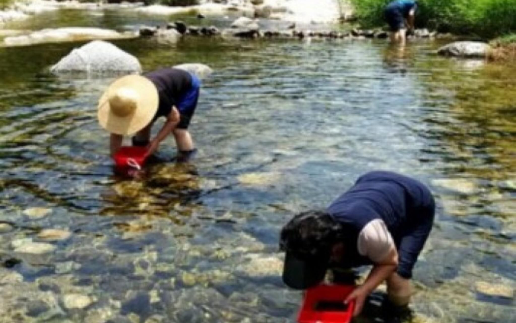 Gapyeong Riona Pension