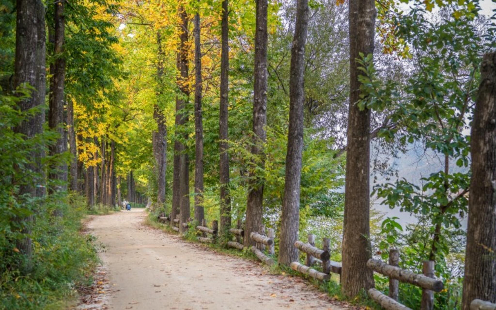 Gapyeong Sanmaru Pension