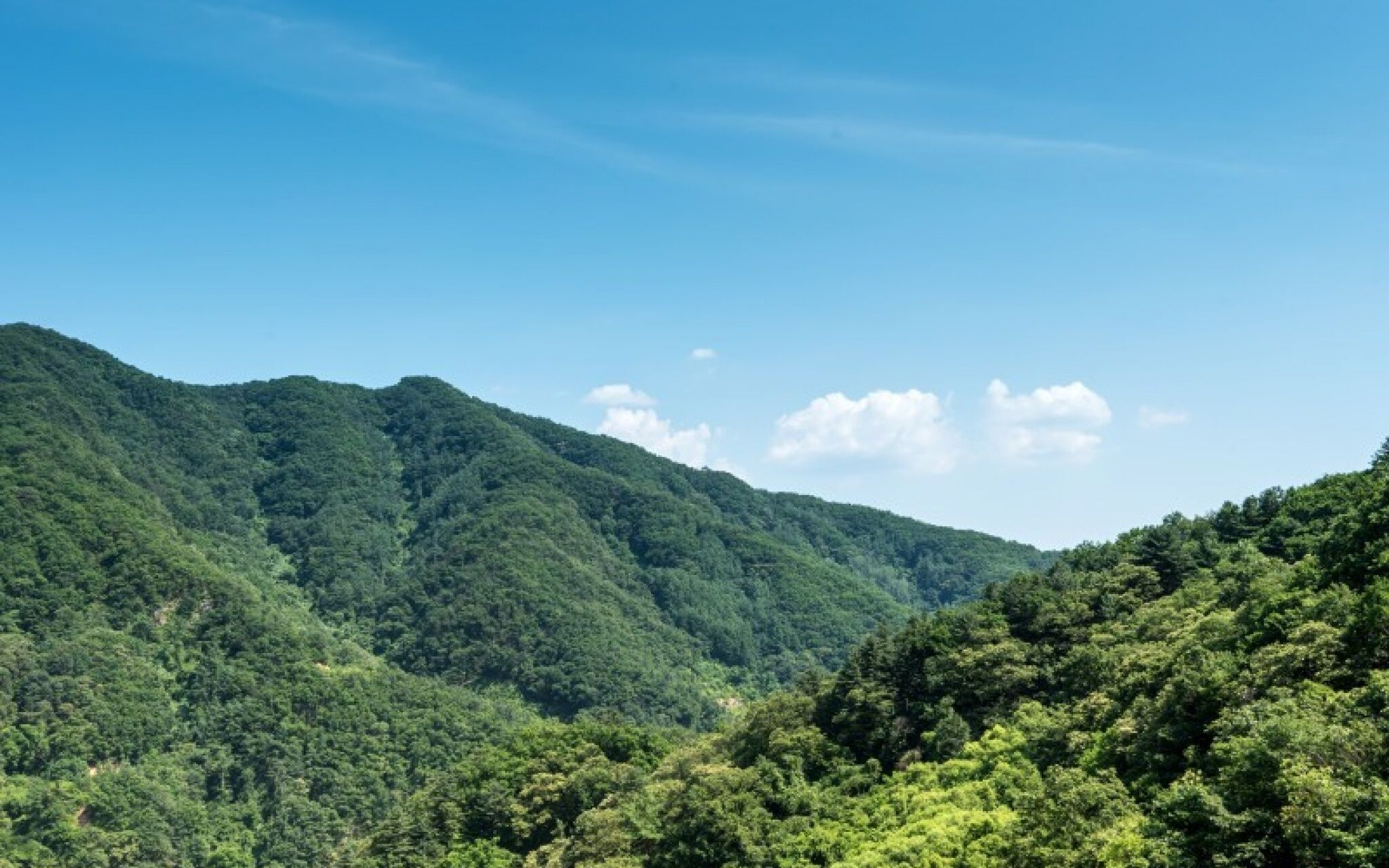 Gapyeong Supsogeneun Pension