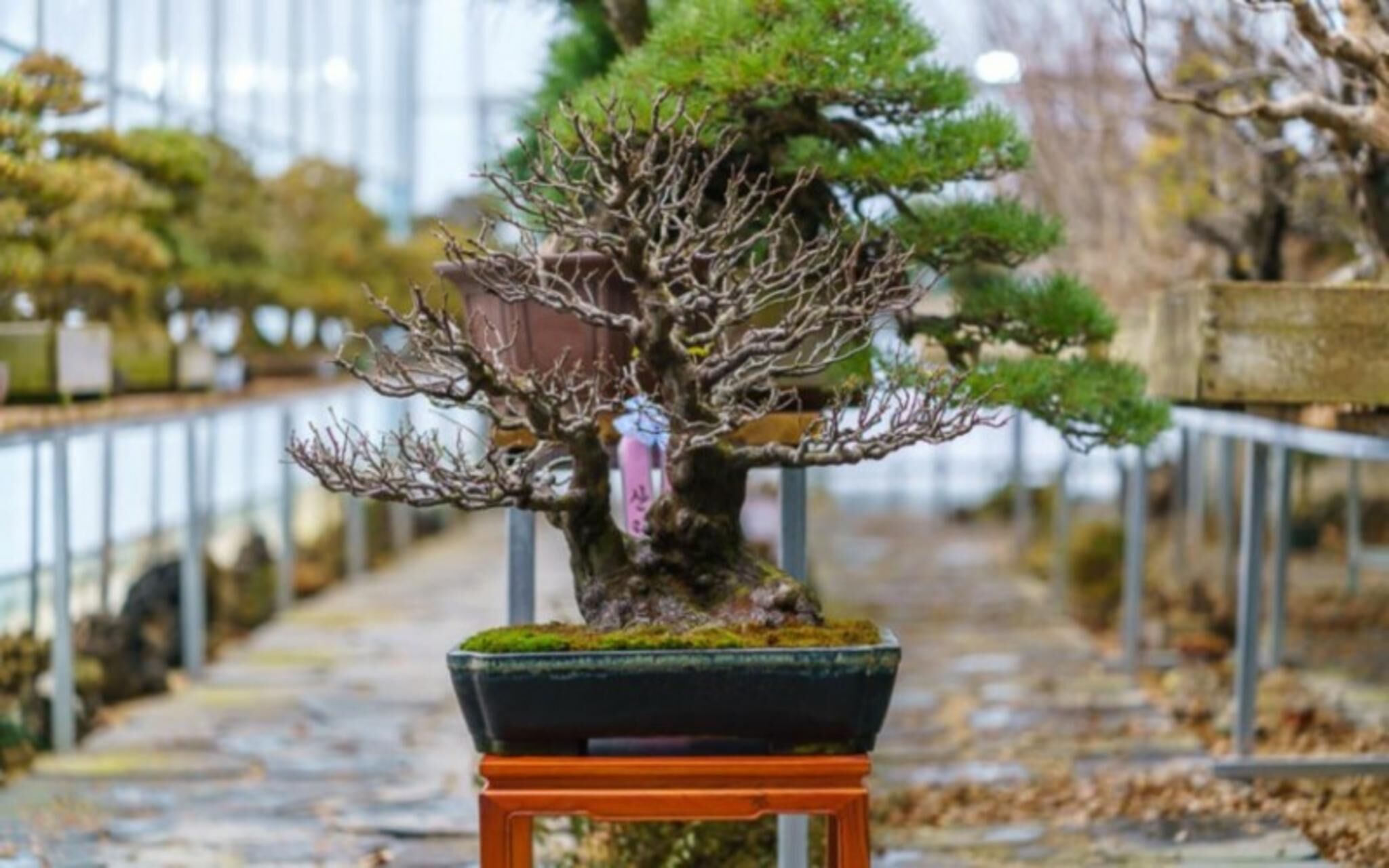 Gapyeong Suryuhwagaewon Pension