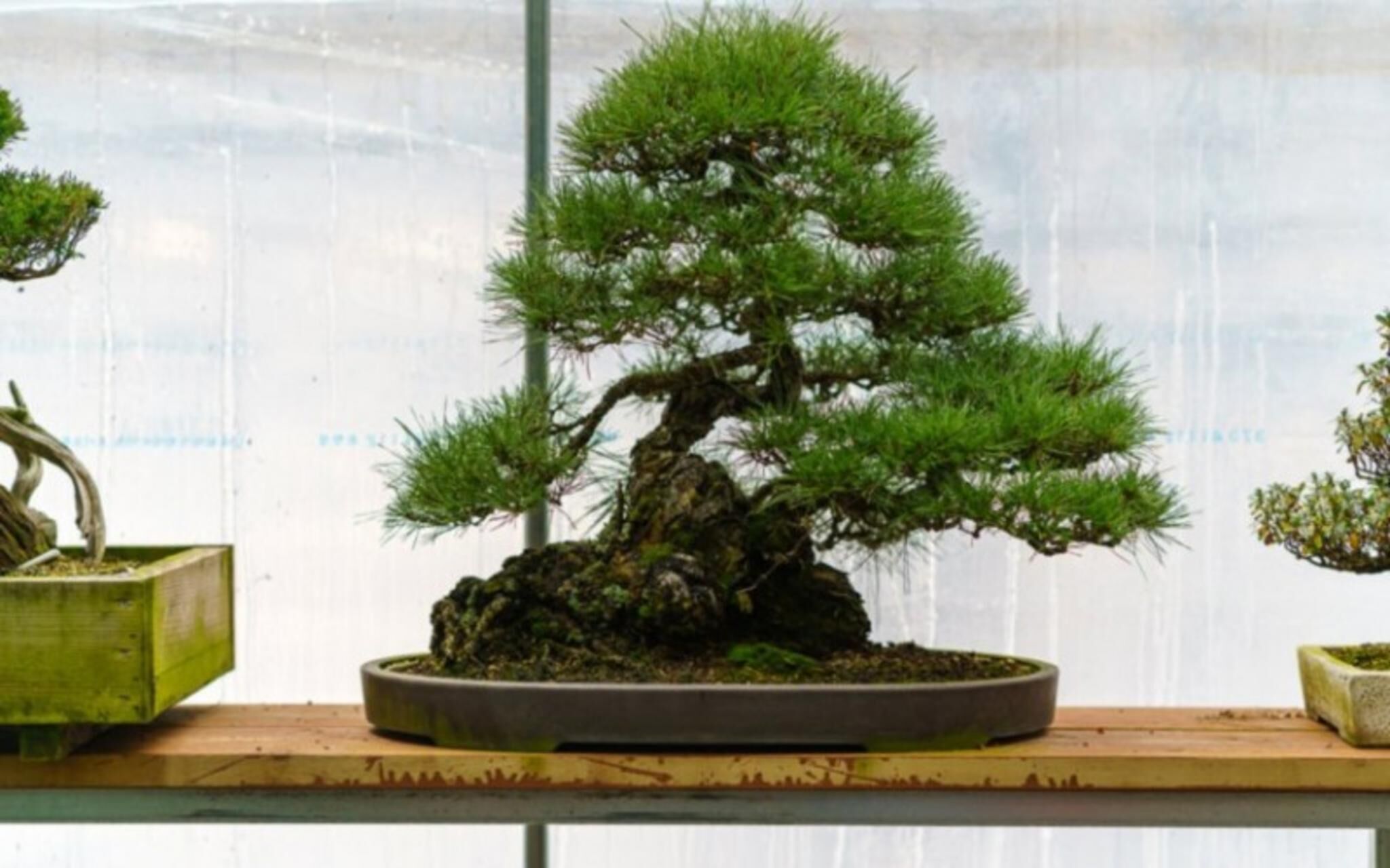 Gapyeong Suryuhwagaewon Pension