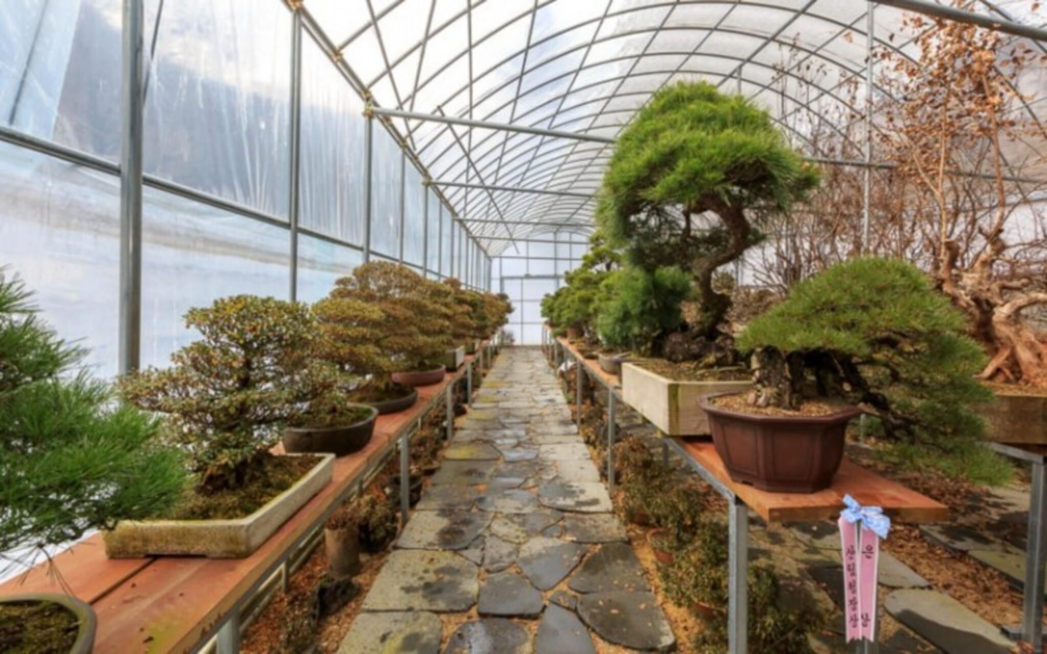 Gapyeong Suryuhwagaewon Pension