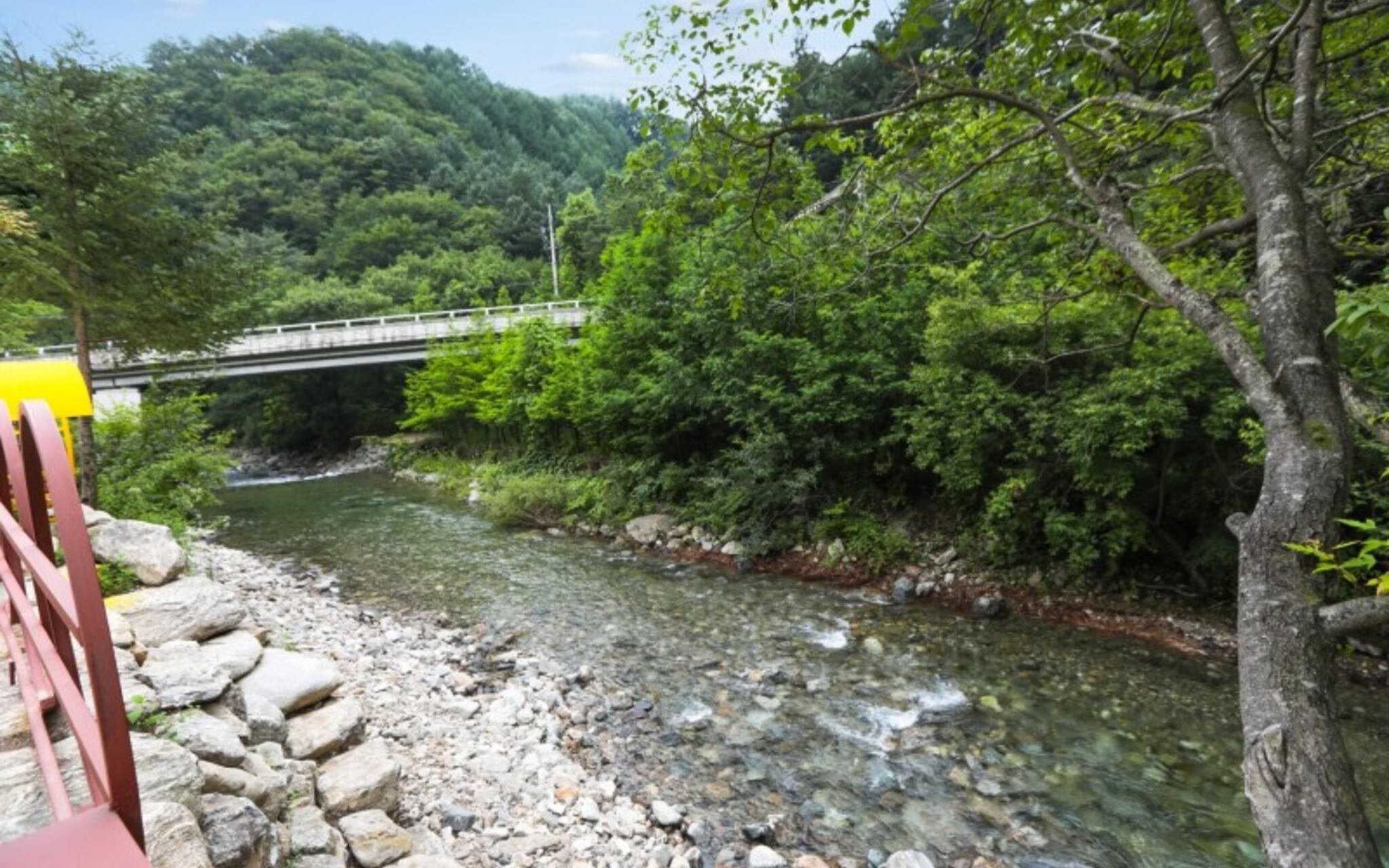 Gapyeong Telem Kids Pool Villa