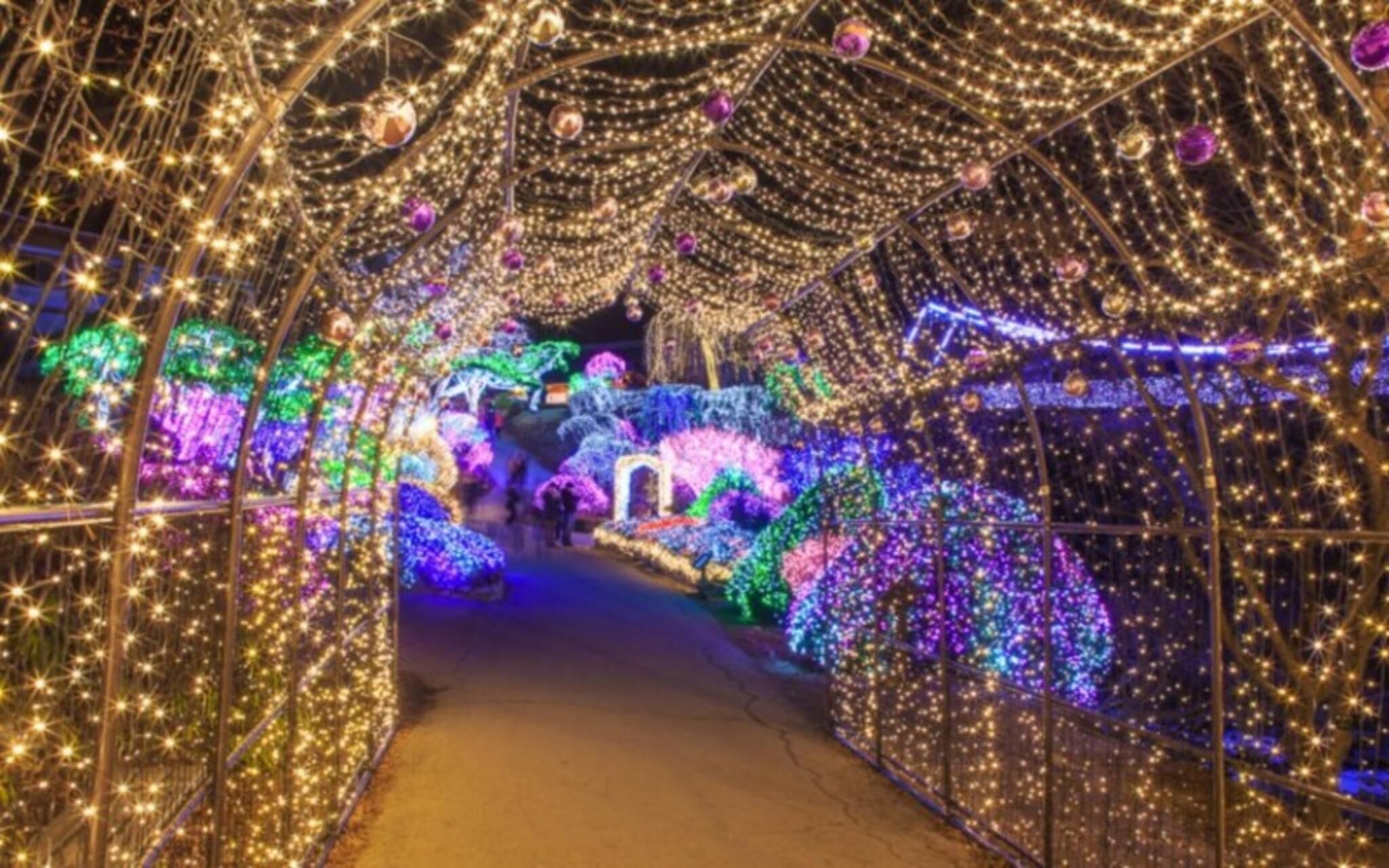 Gapyeong Terrace and Star Pension