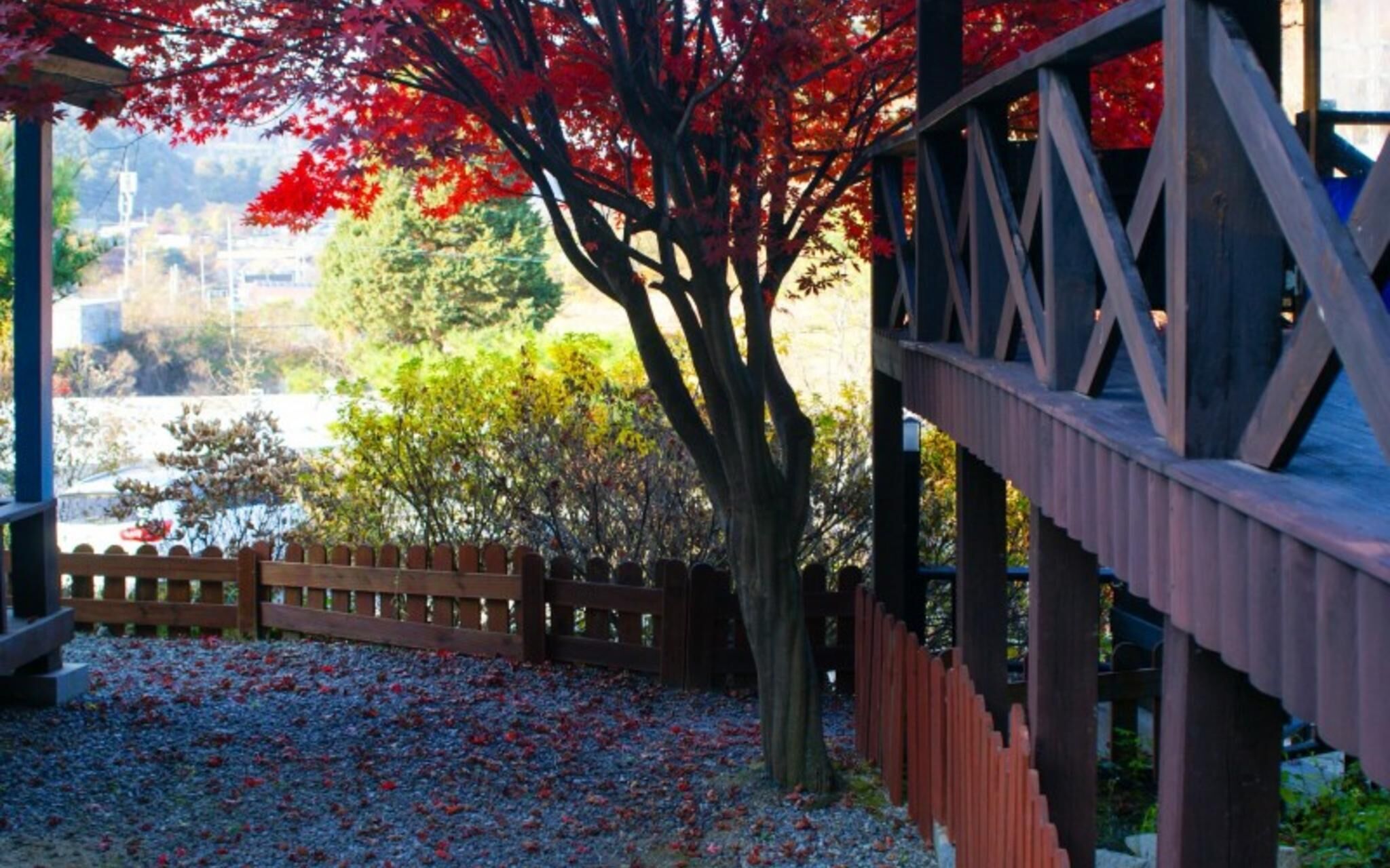 Gapyeong Tree House Pension