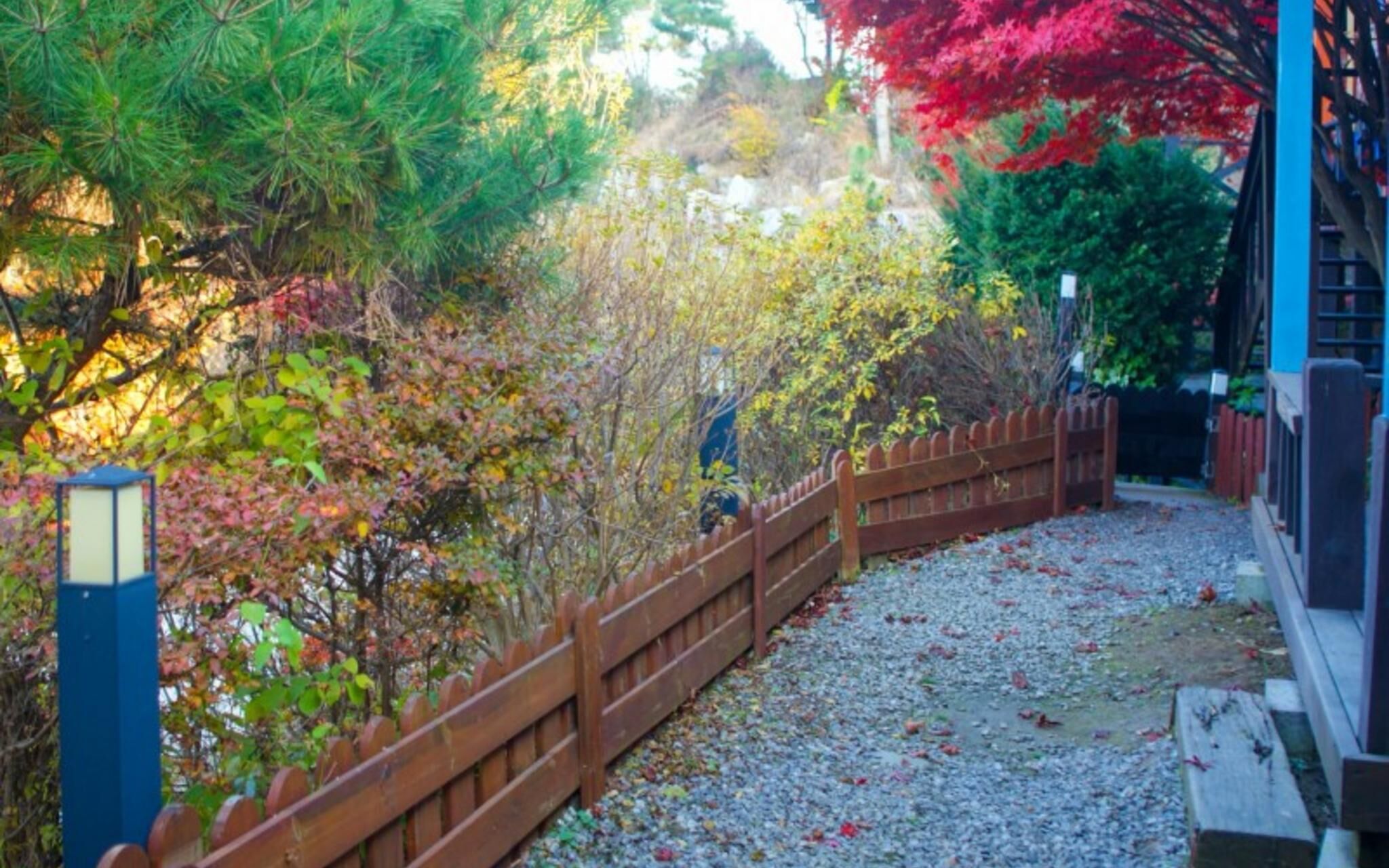 Gapyeong Tree House Pension