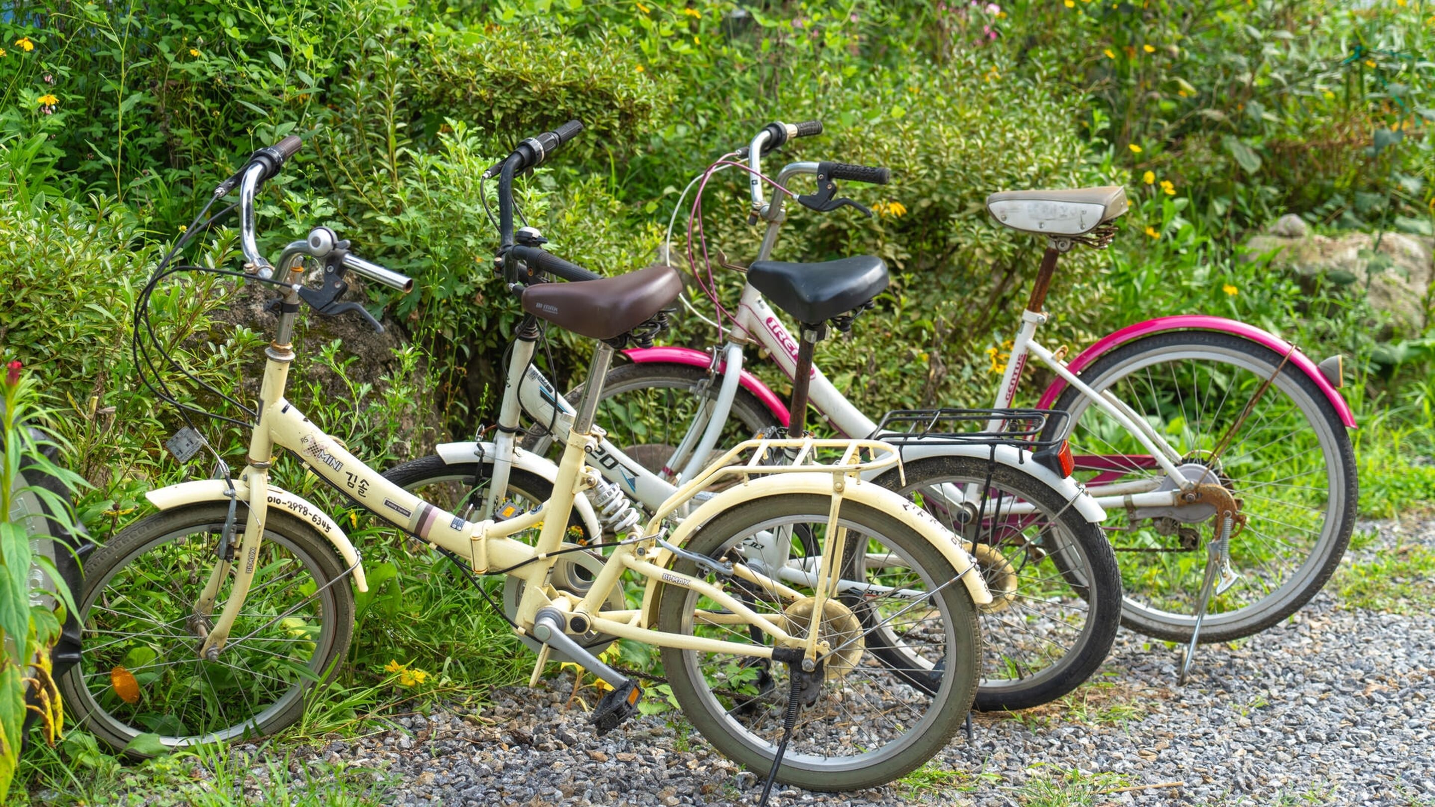 Gapyeong Tremore Pension