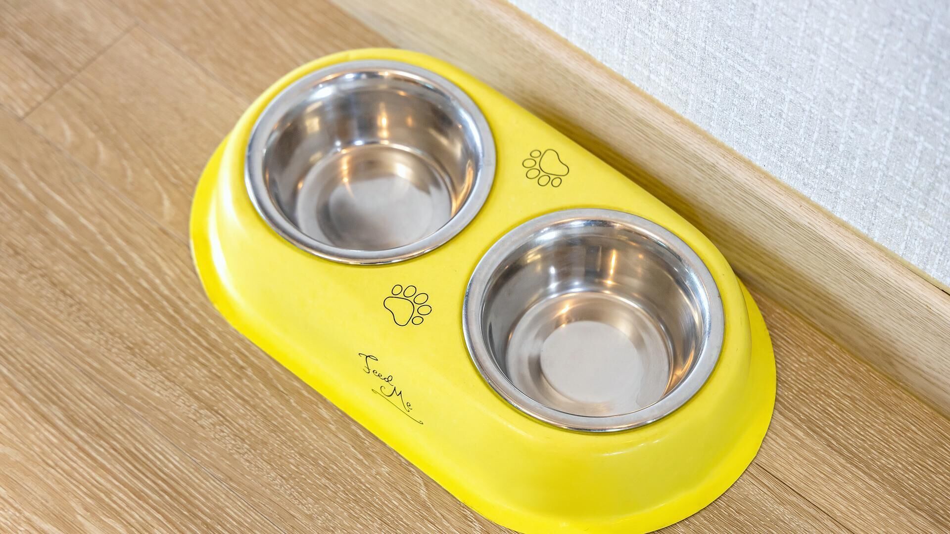 Gapyeong Walkingoncloud Pension & Glamping