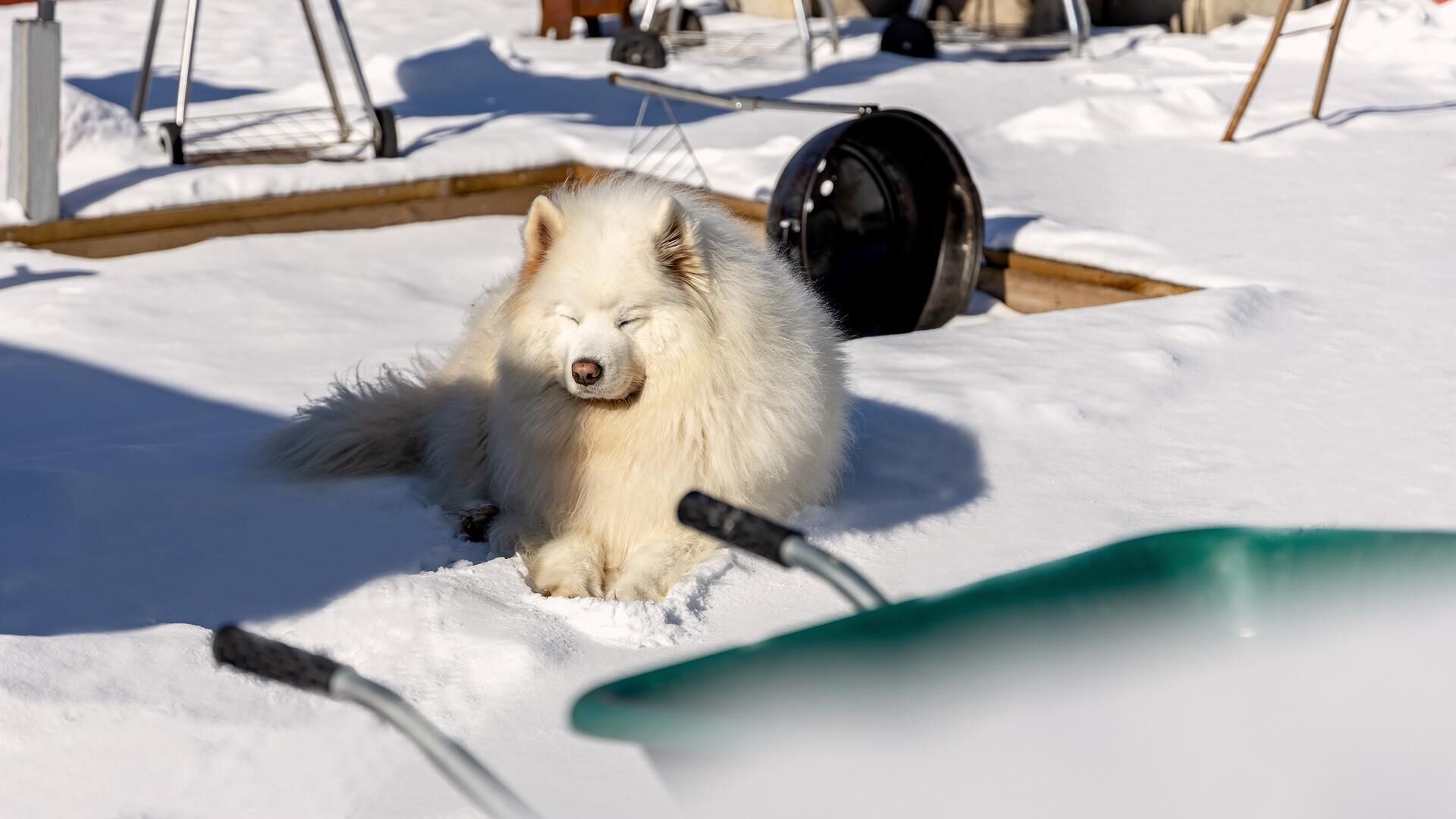 Gapyeong Walkingoncloud Pension & Glamping