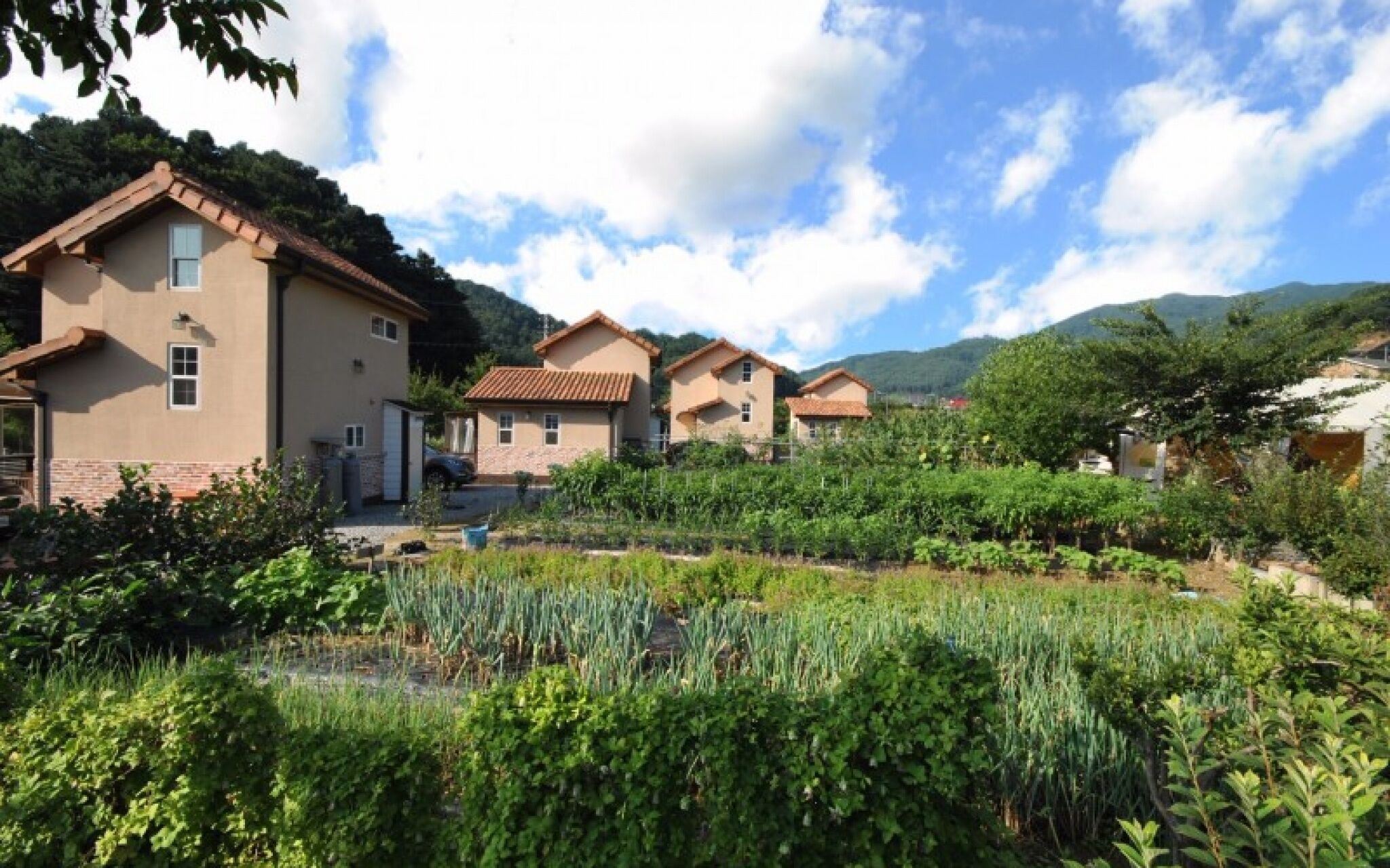 Gapyeong Week Palm Glamping Pension