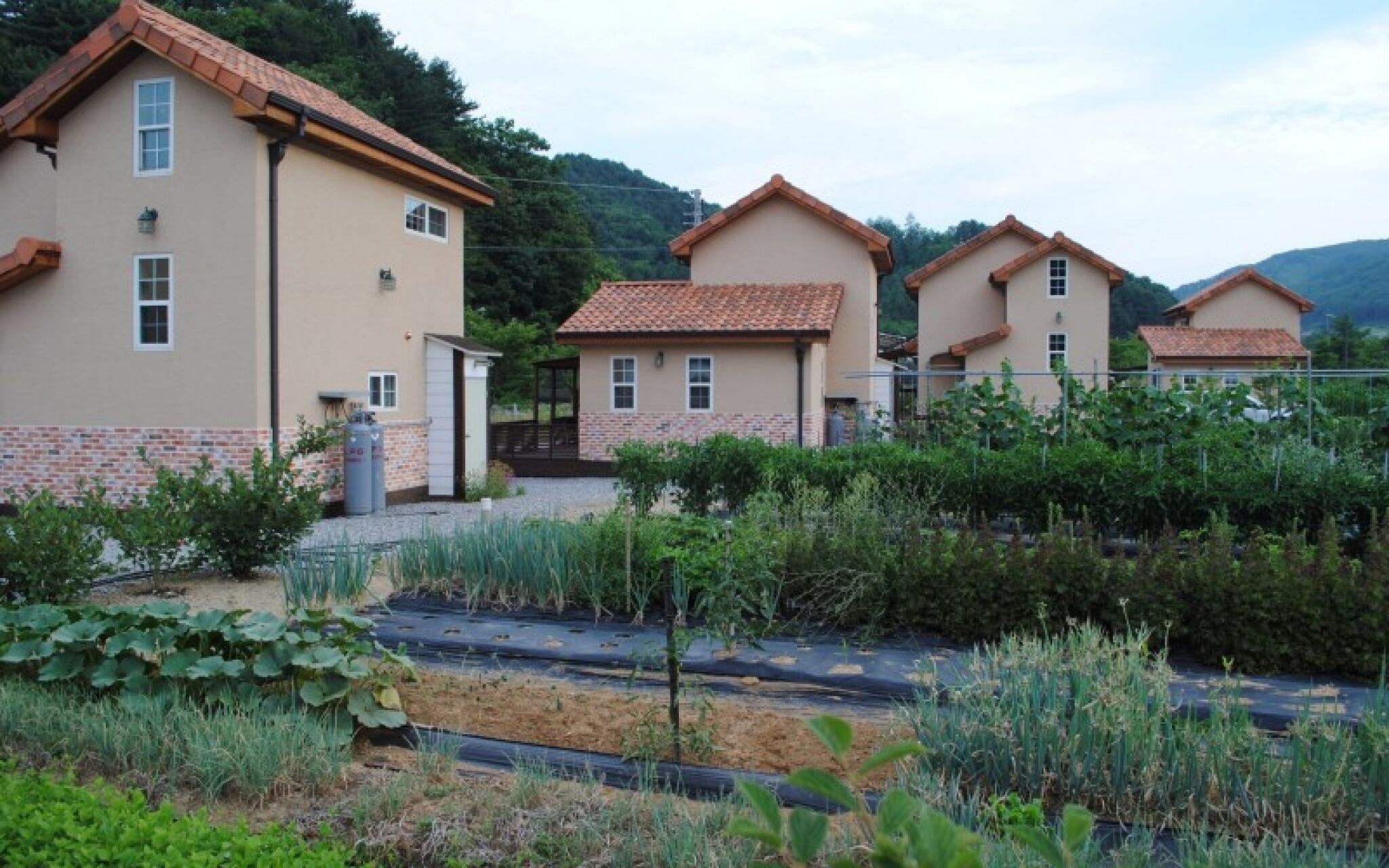 Gapyeong Week Palm Glamping Pension