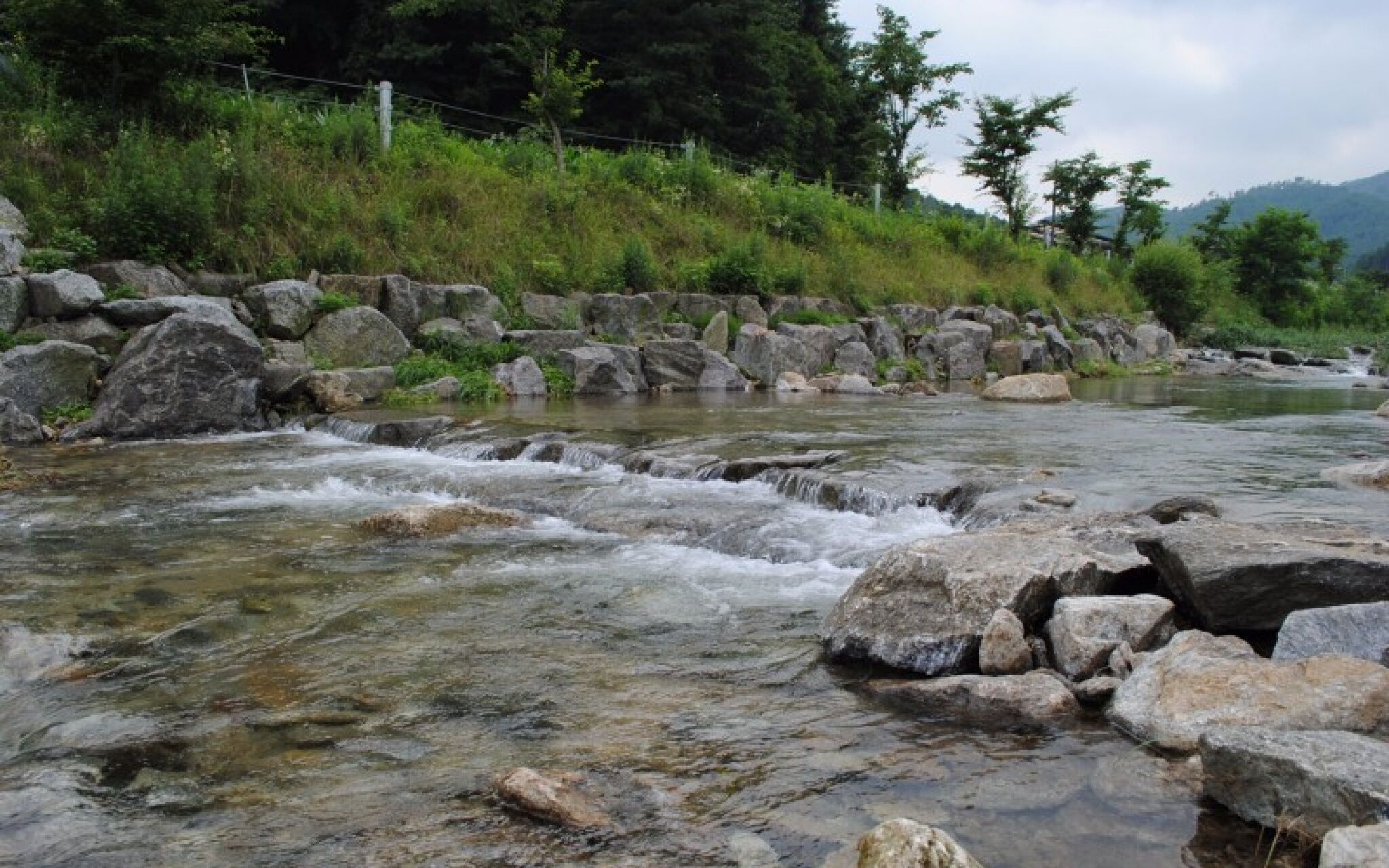 Gapyeong Week Palm Glamping Pension