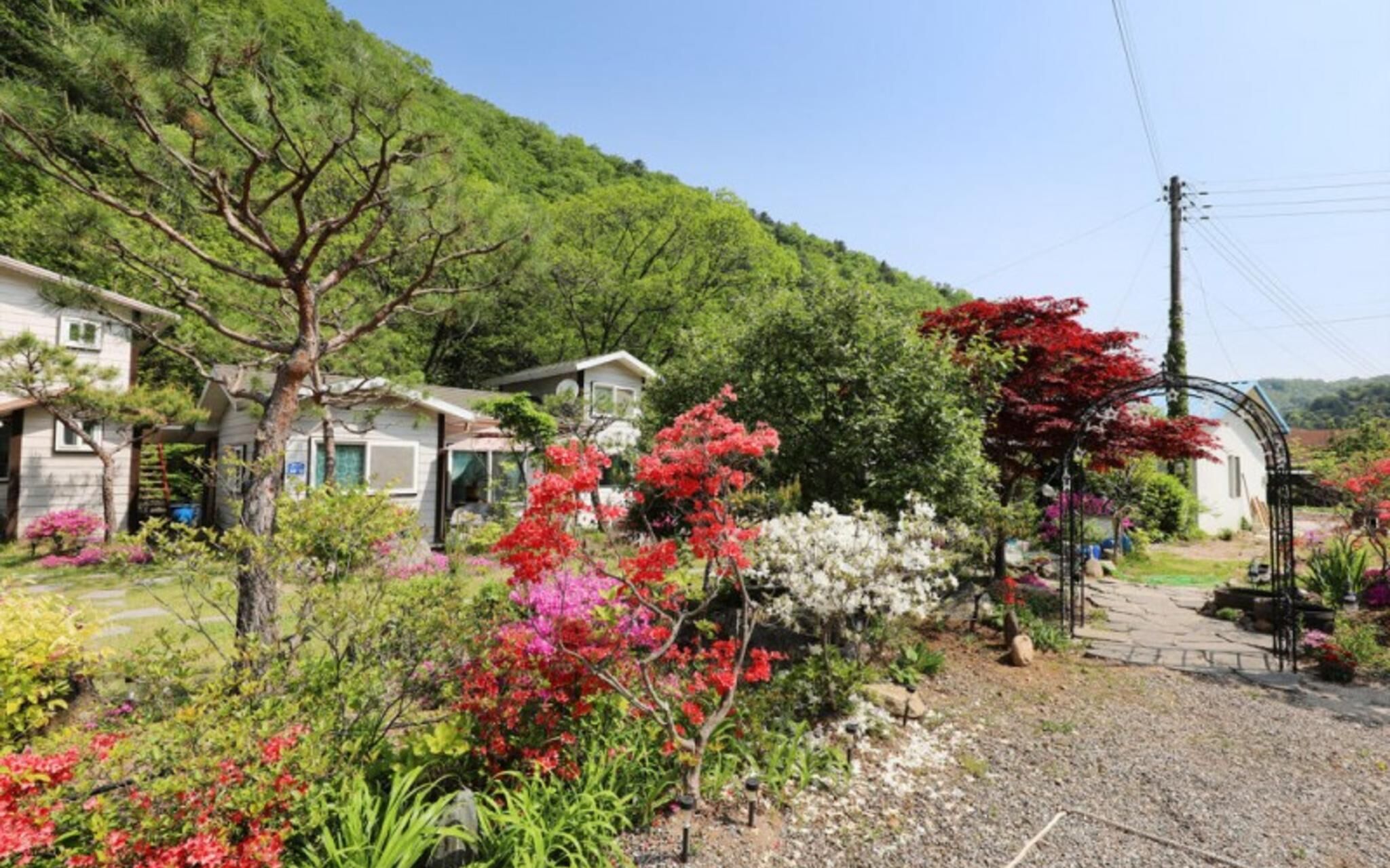 Hidden Valley Pension