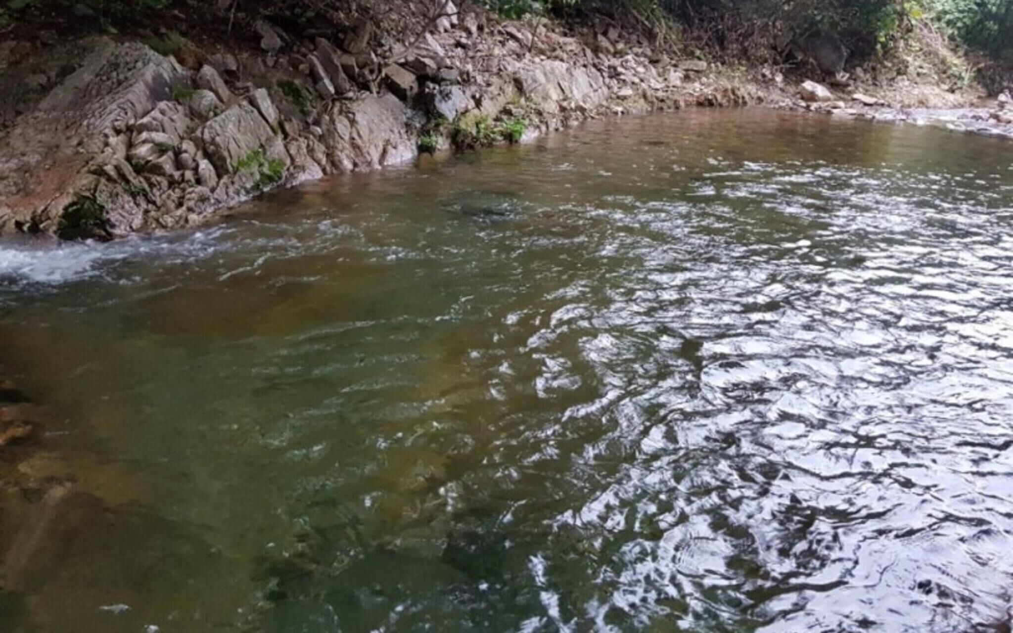 Hidden Valley Pension