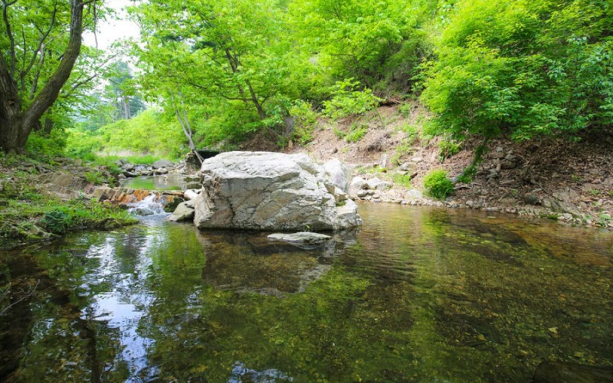 Hidden Valley Pension