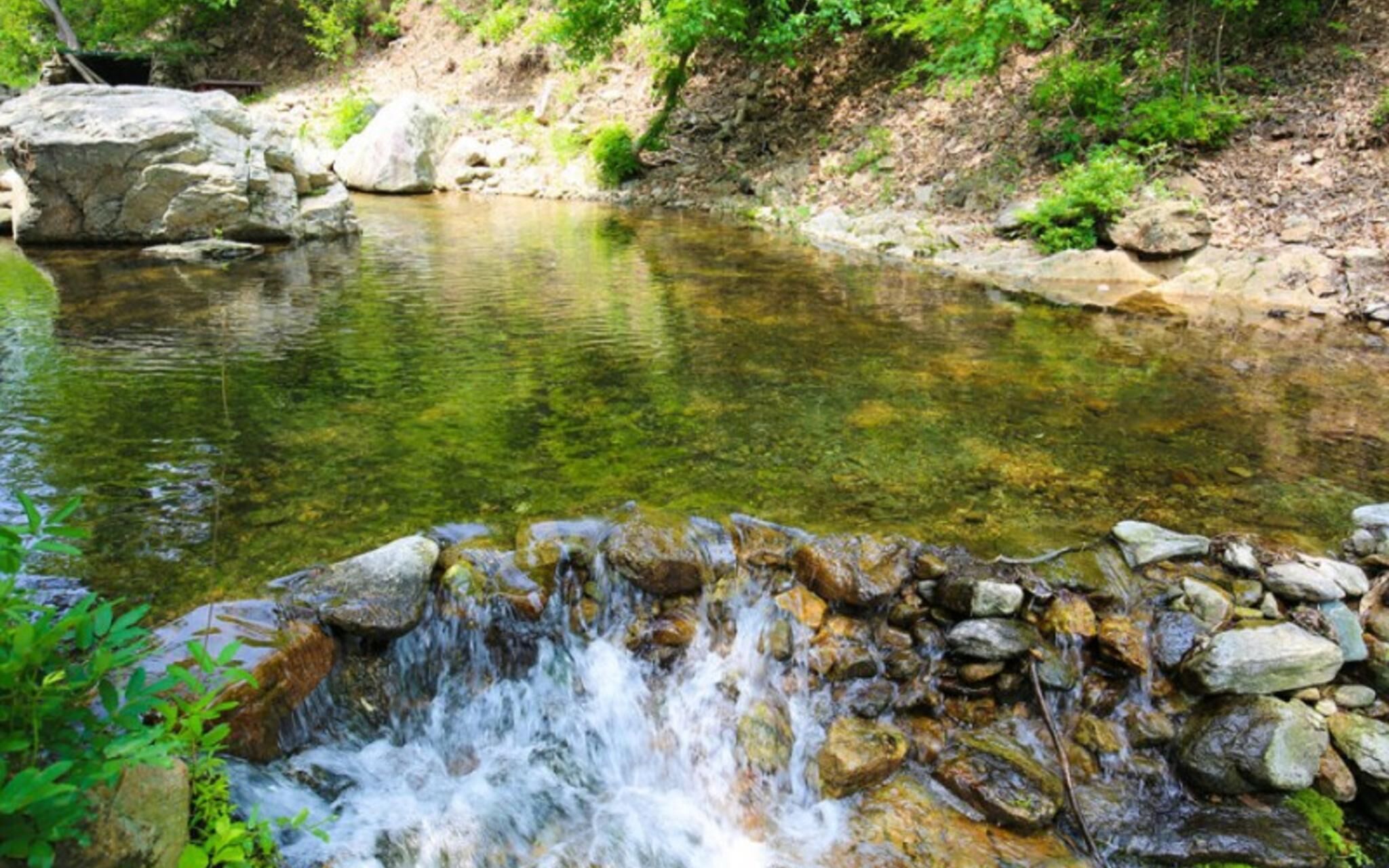 Hidden Valley Pension