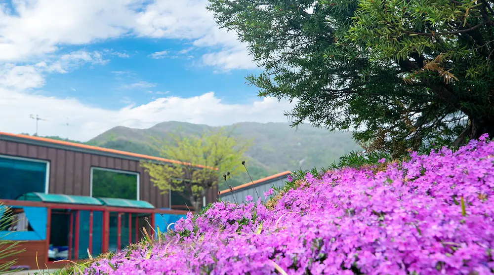 Kkoristar Pool And Spa Pension