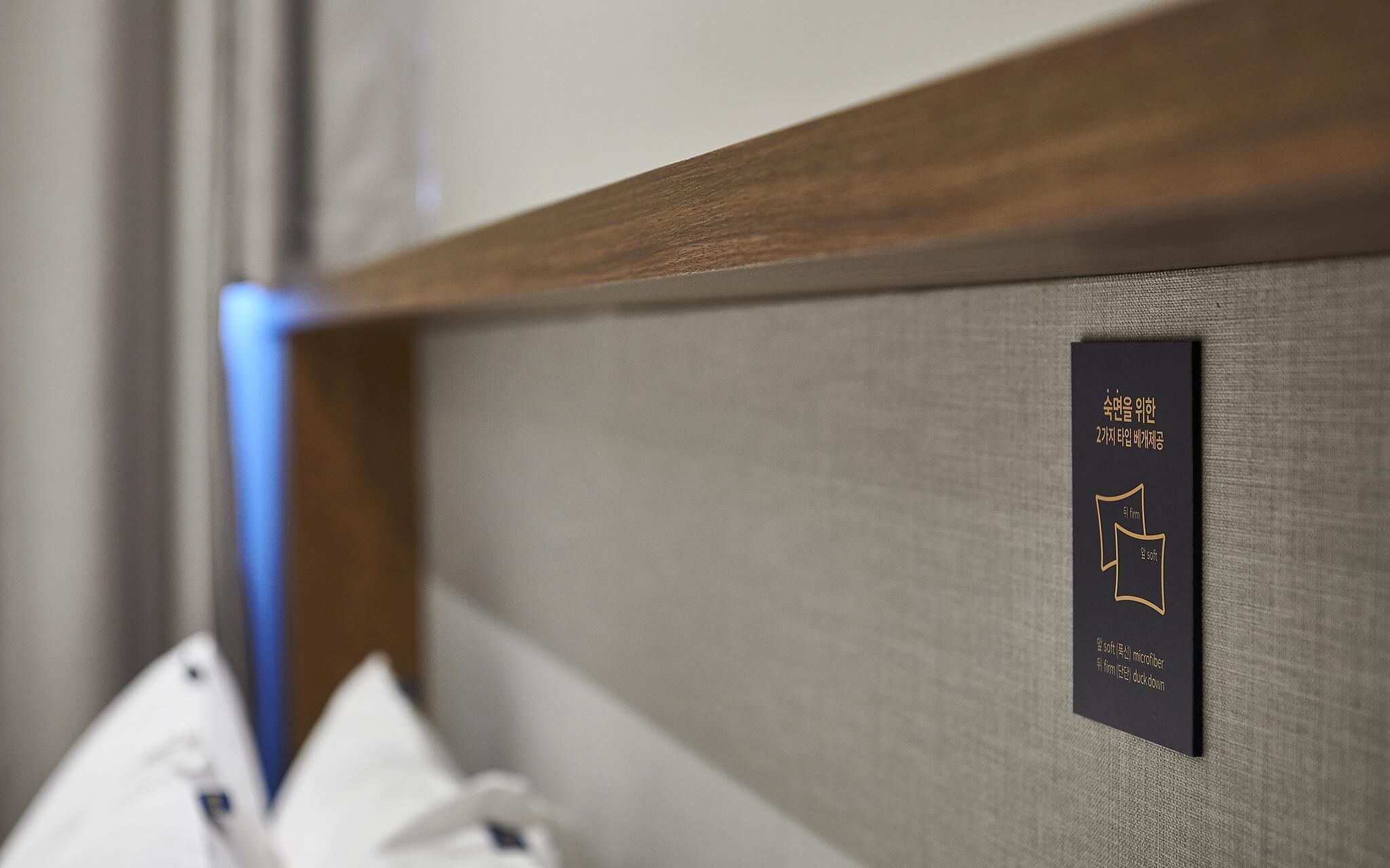 Ilsan Janghang Just Play La Festa