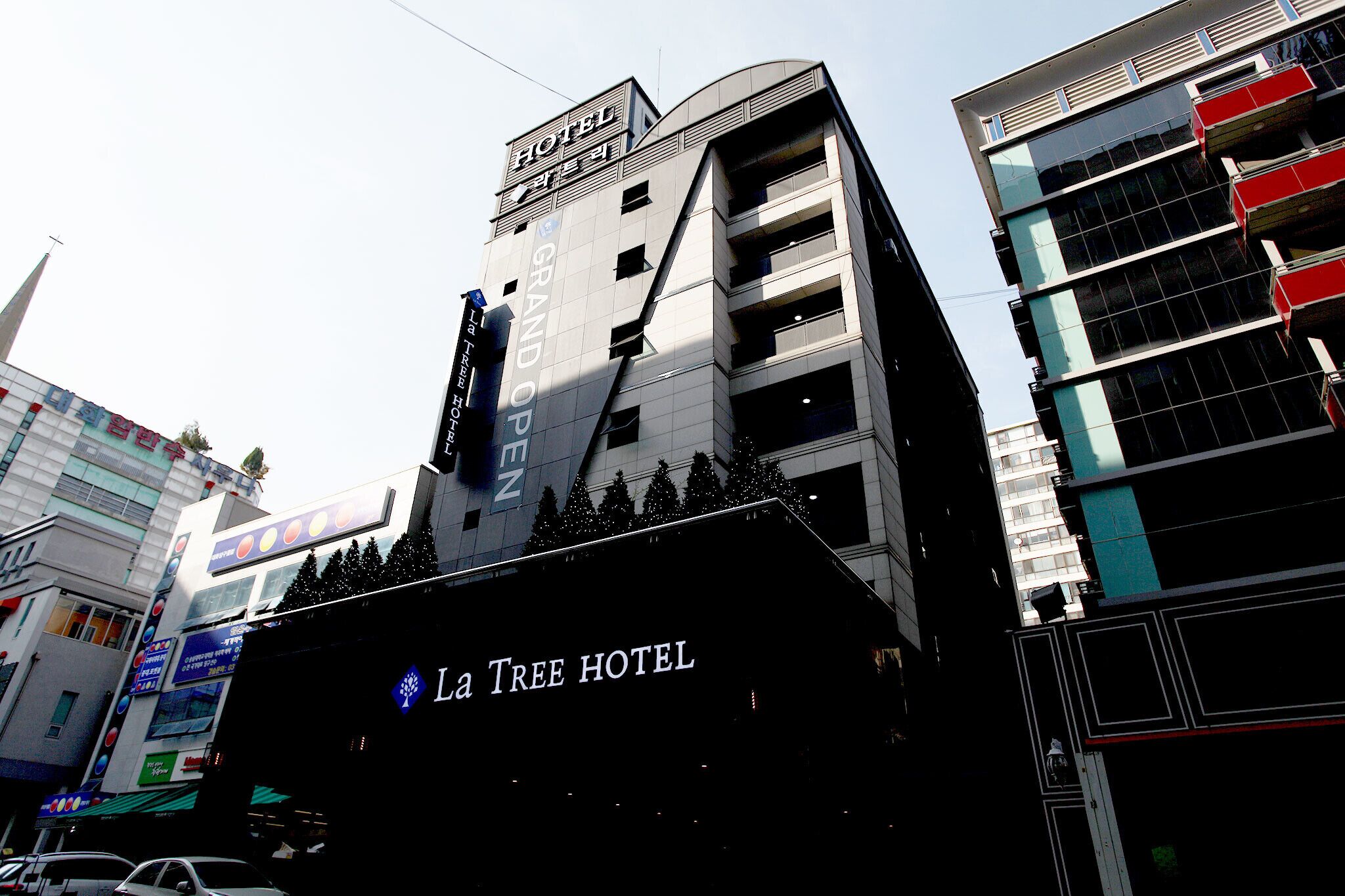 Ilsan La Tree
