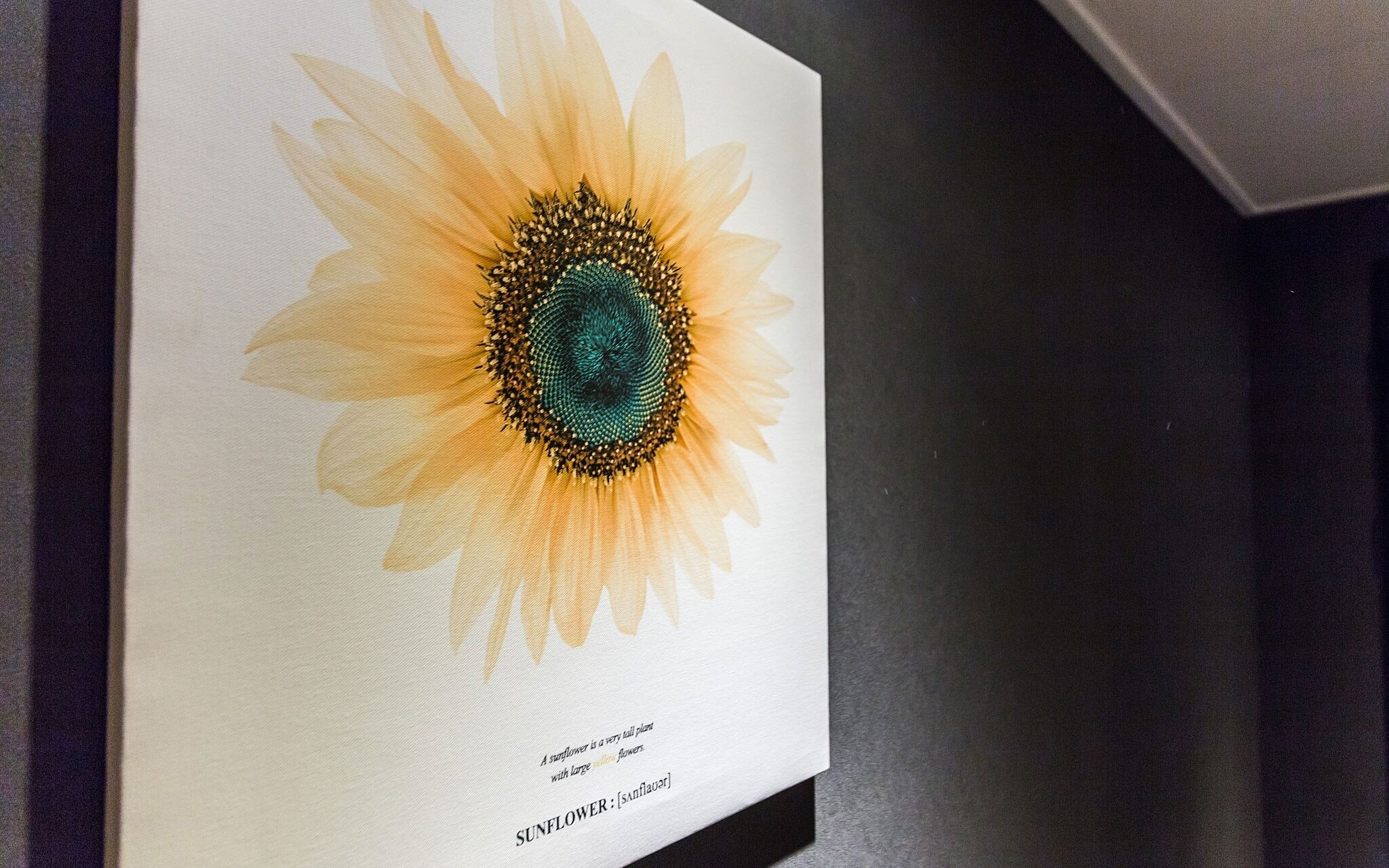 Sanbon Hotel in Cafe