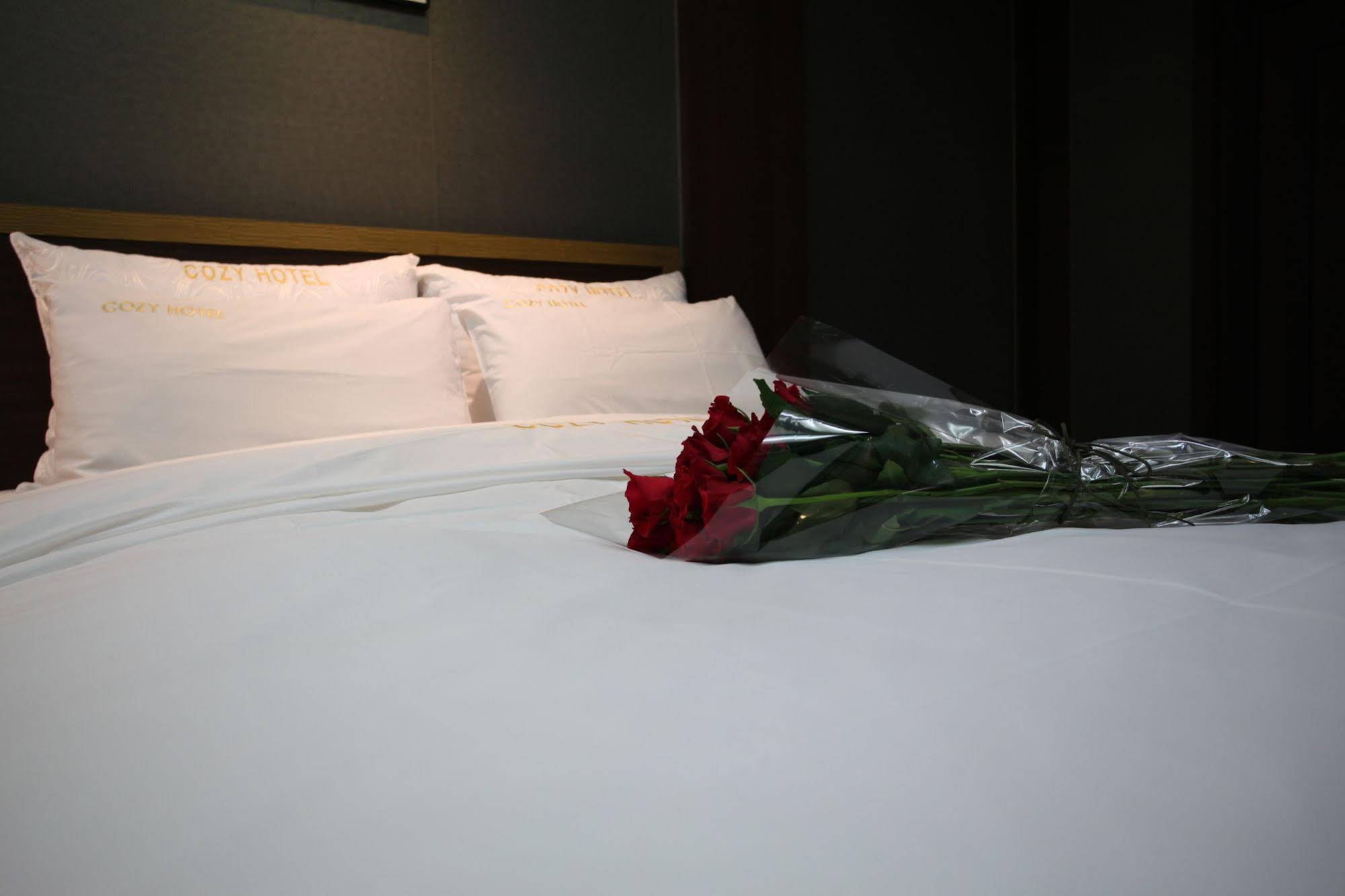 Cozy Hotel Dongtan