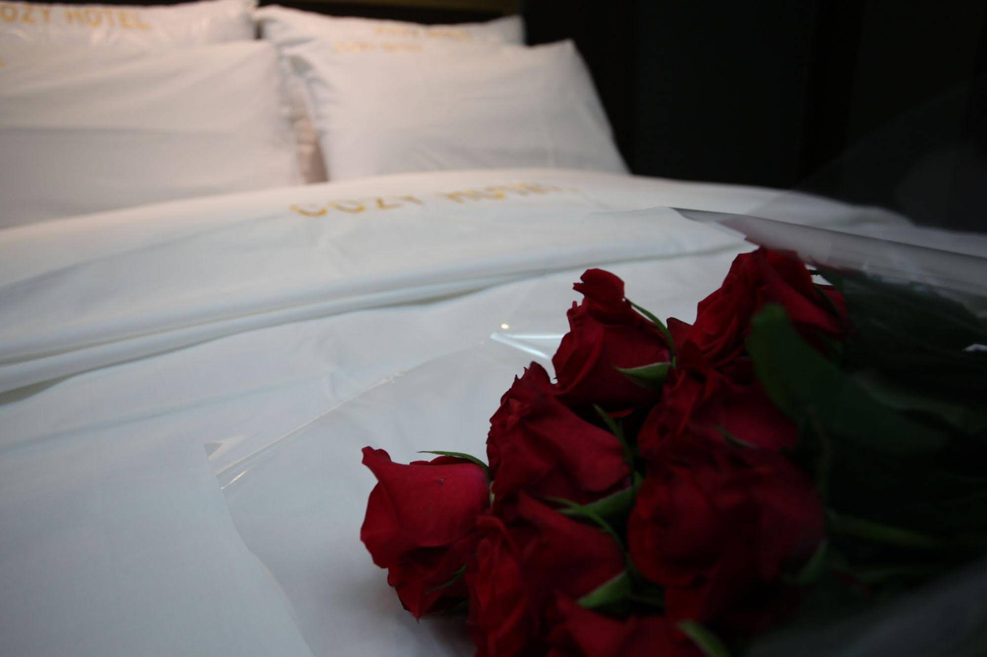 Cozy Hotel Dongtan