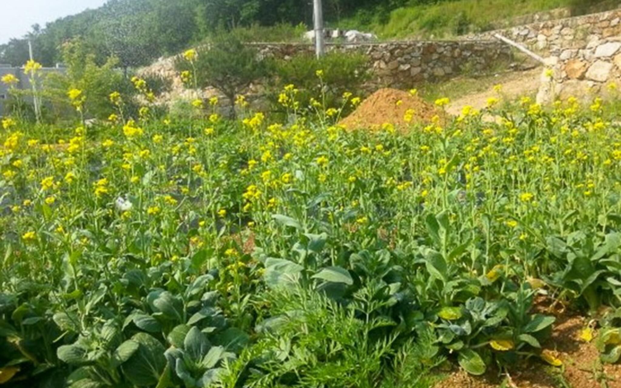 Yangju Jangheung Healing Pension