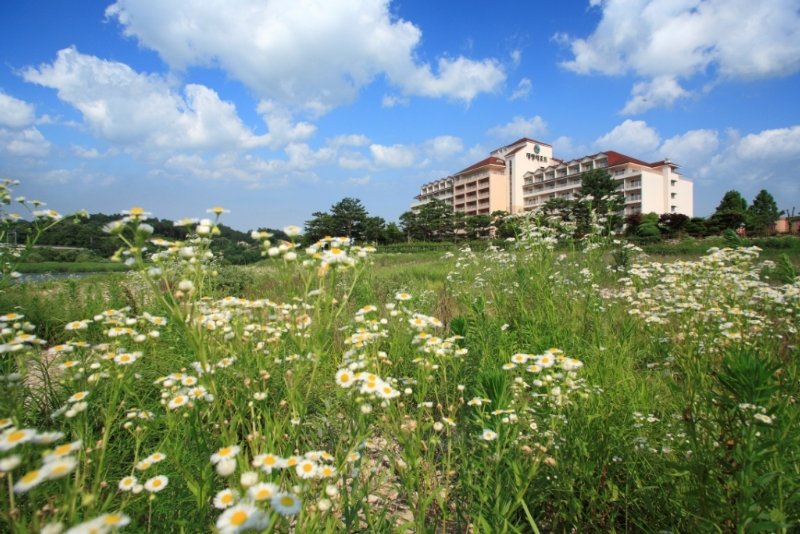 Daemyung Resort Yangpyeong