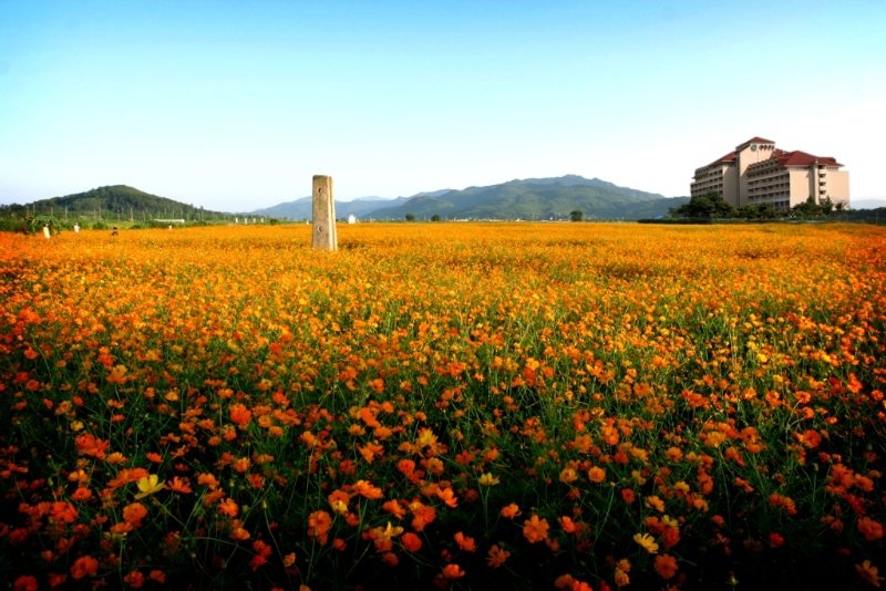 Daemyung Resort Yangpyeong