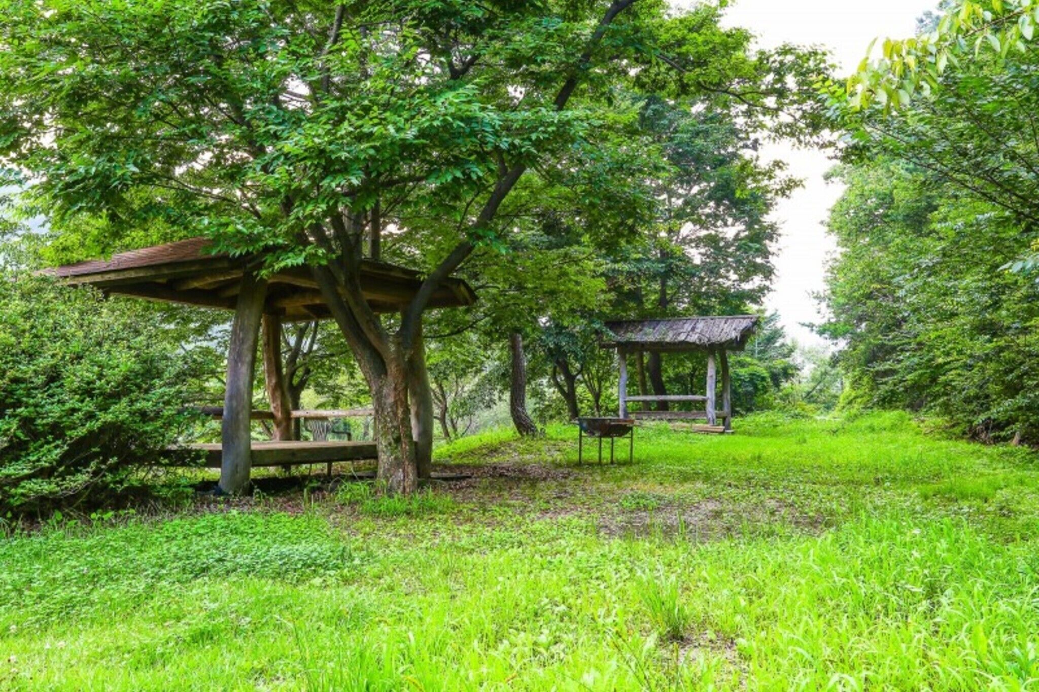 Log Camp