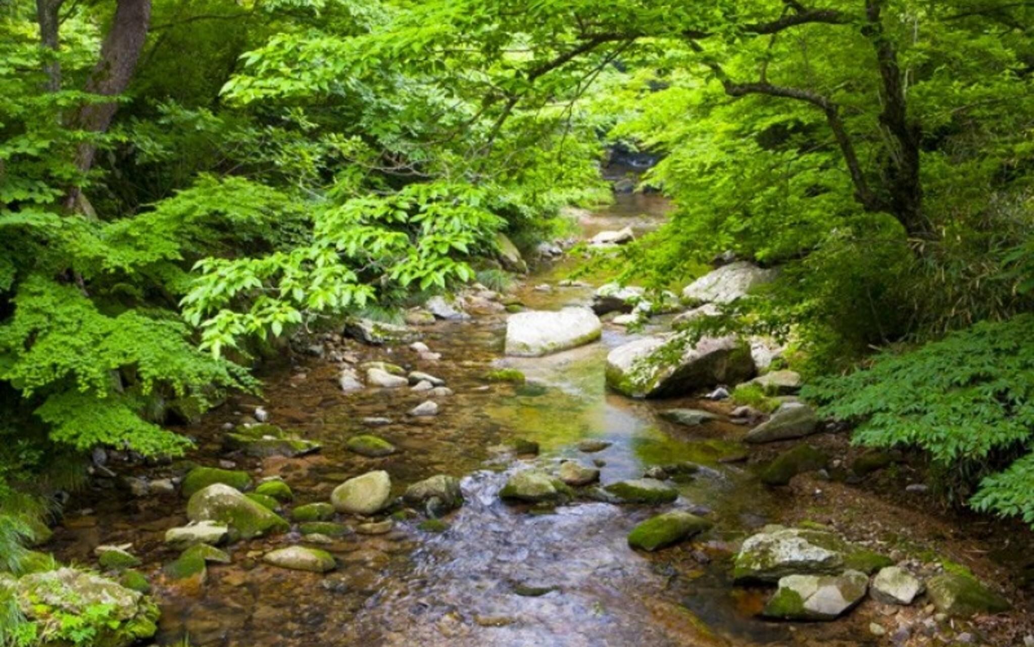 Pension Yangpyeong Lake Cabins