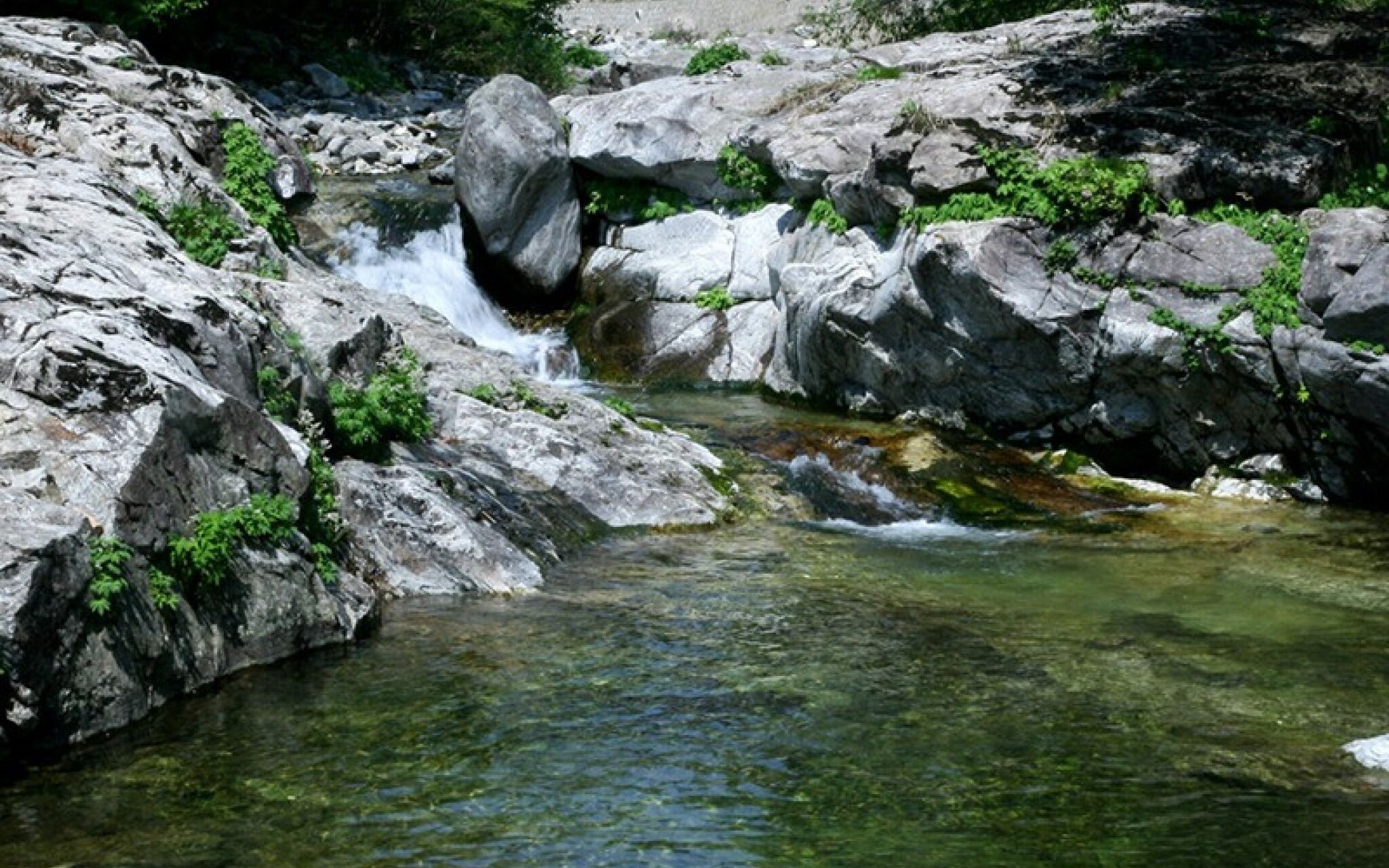 Soljiearo Pension