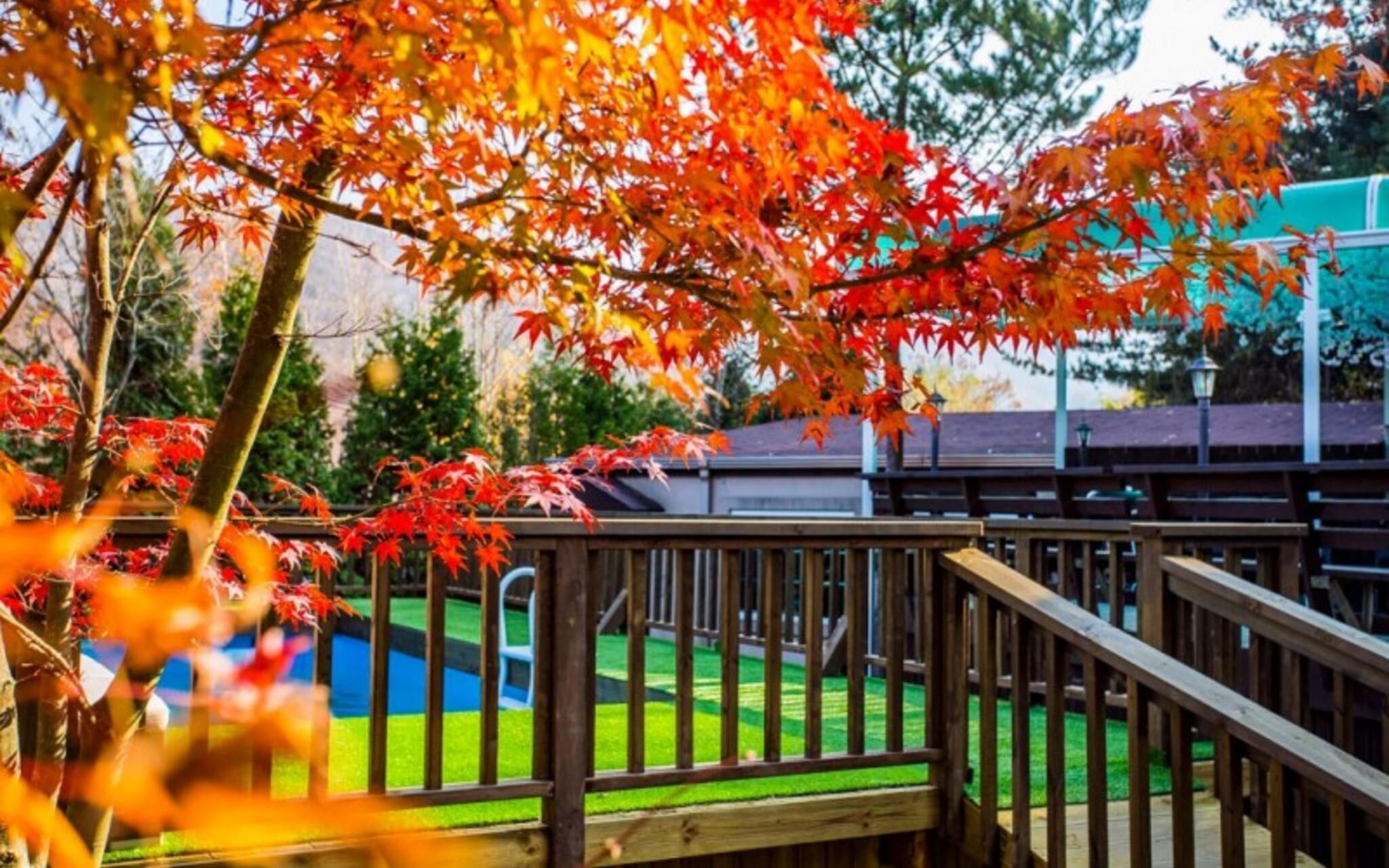 Yangpyeong Dajian Forest Hill Pension
