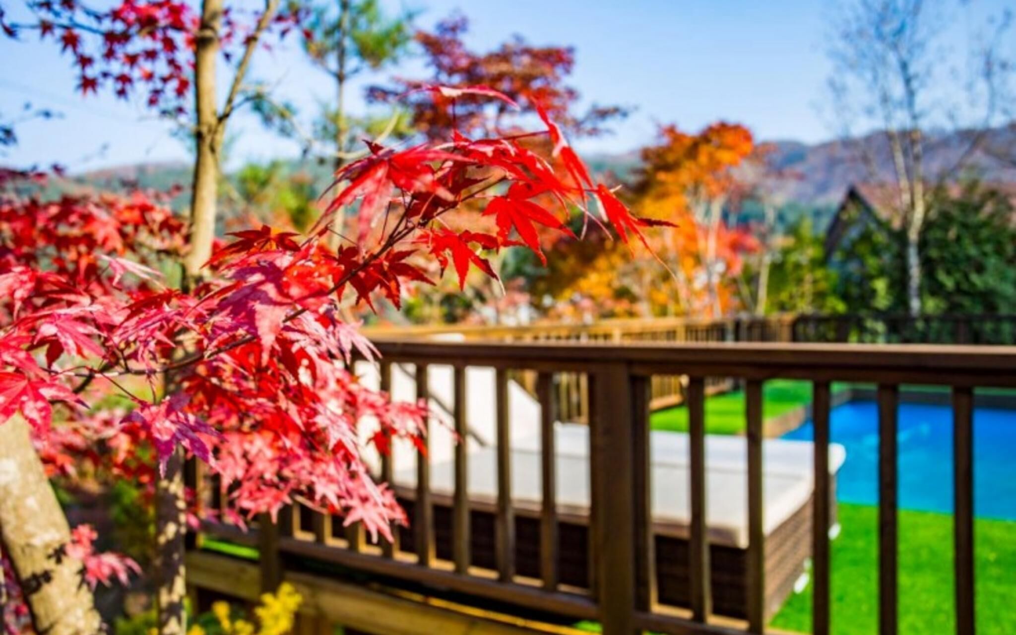 Yangpyeong Dajian Forest Hill Pension
