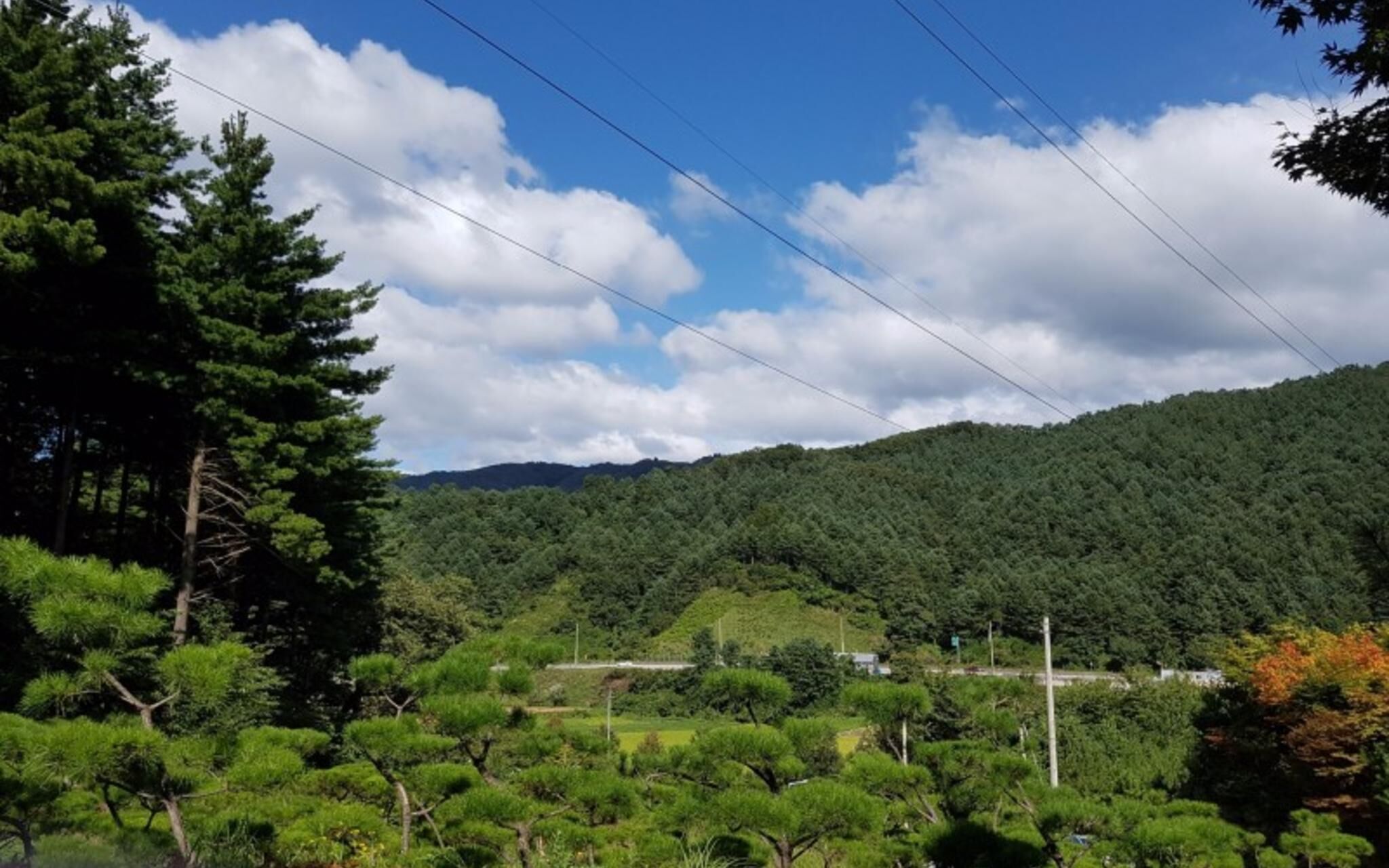 Yangpyeong Dajian Forest Hill Pension