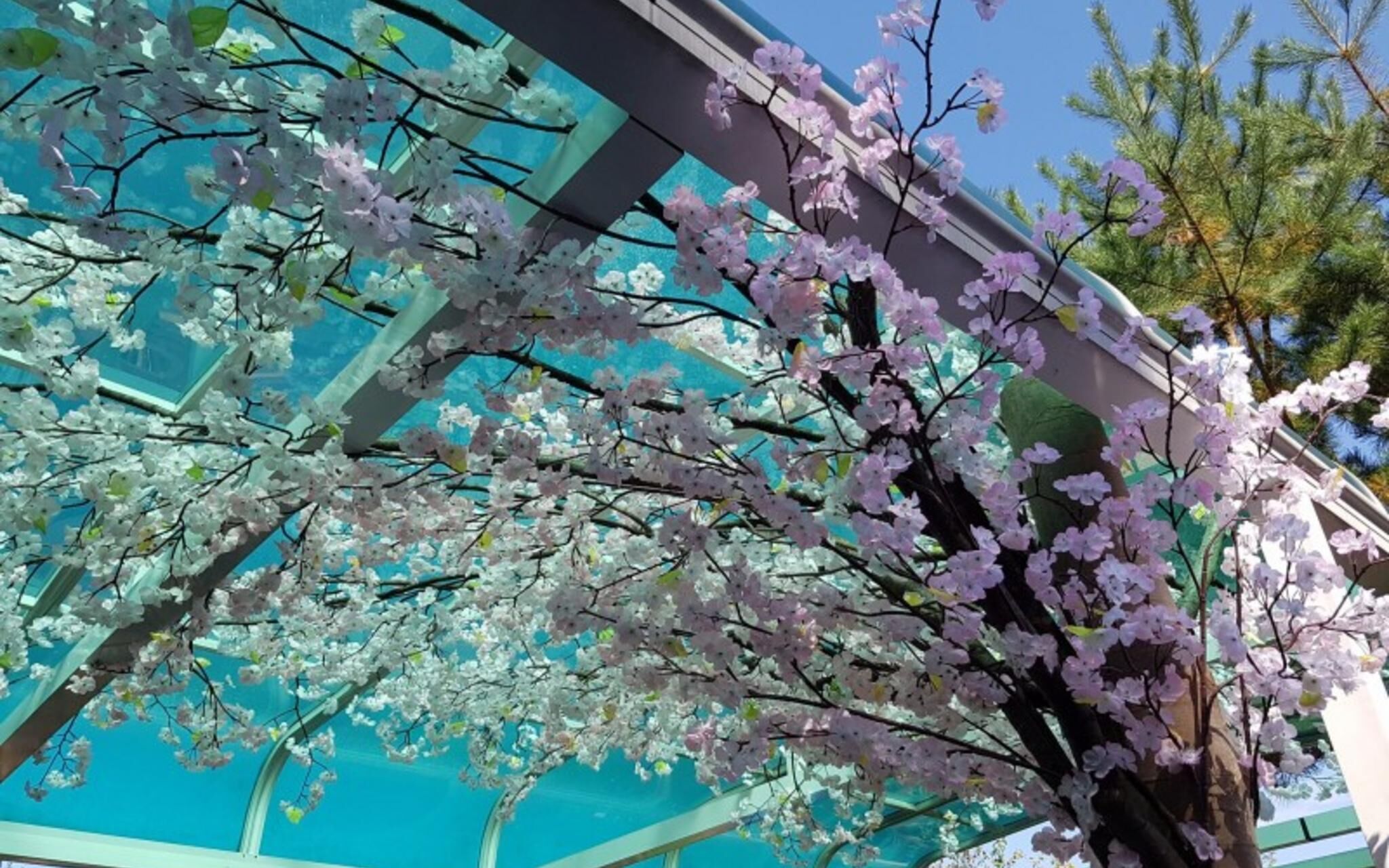 Yangpyeong Dajian Forest Hill Pension