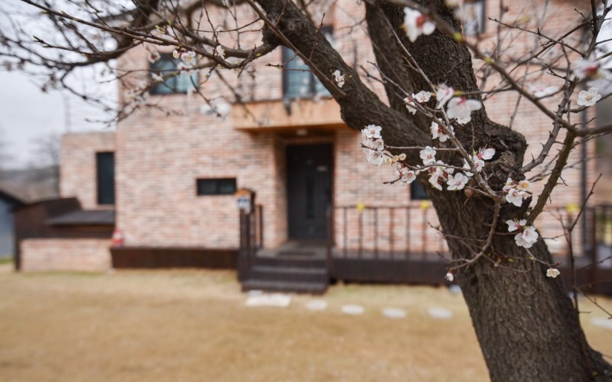 Yangpyeong Dodam House Pension