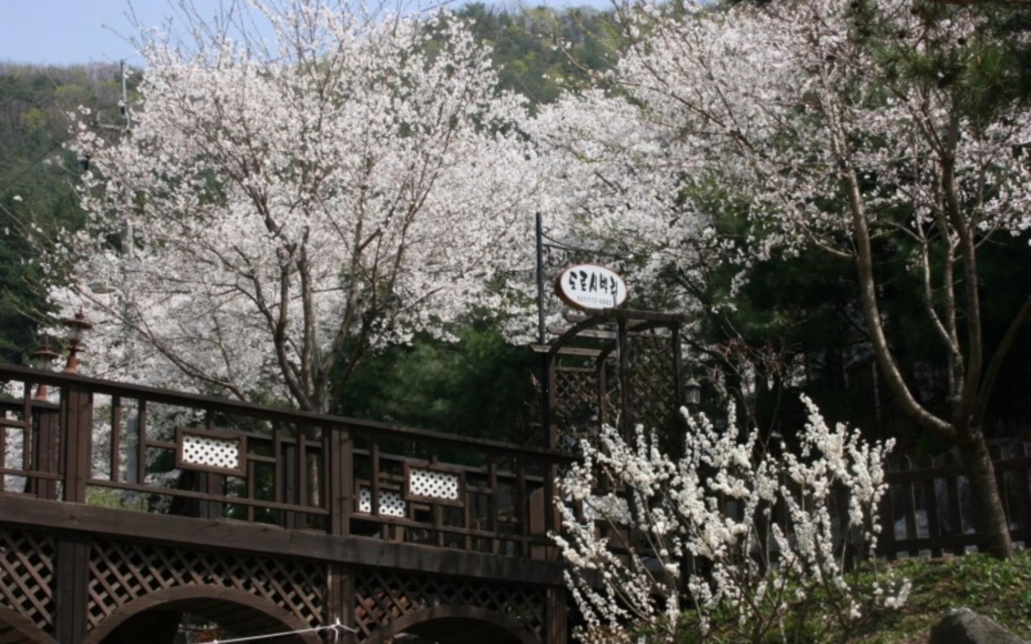 Yangpyeong Dotorhy Valley Pension