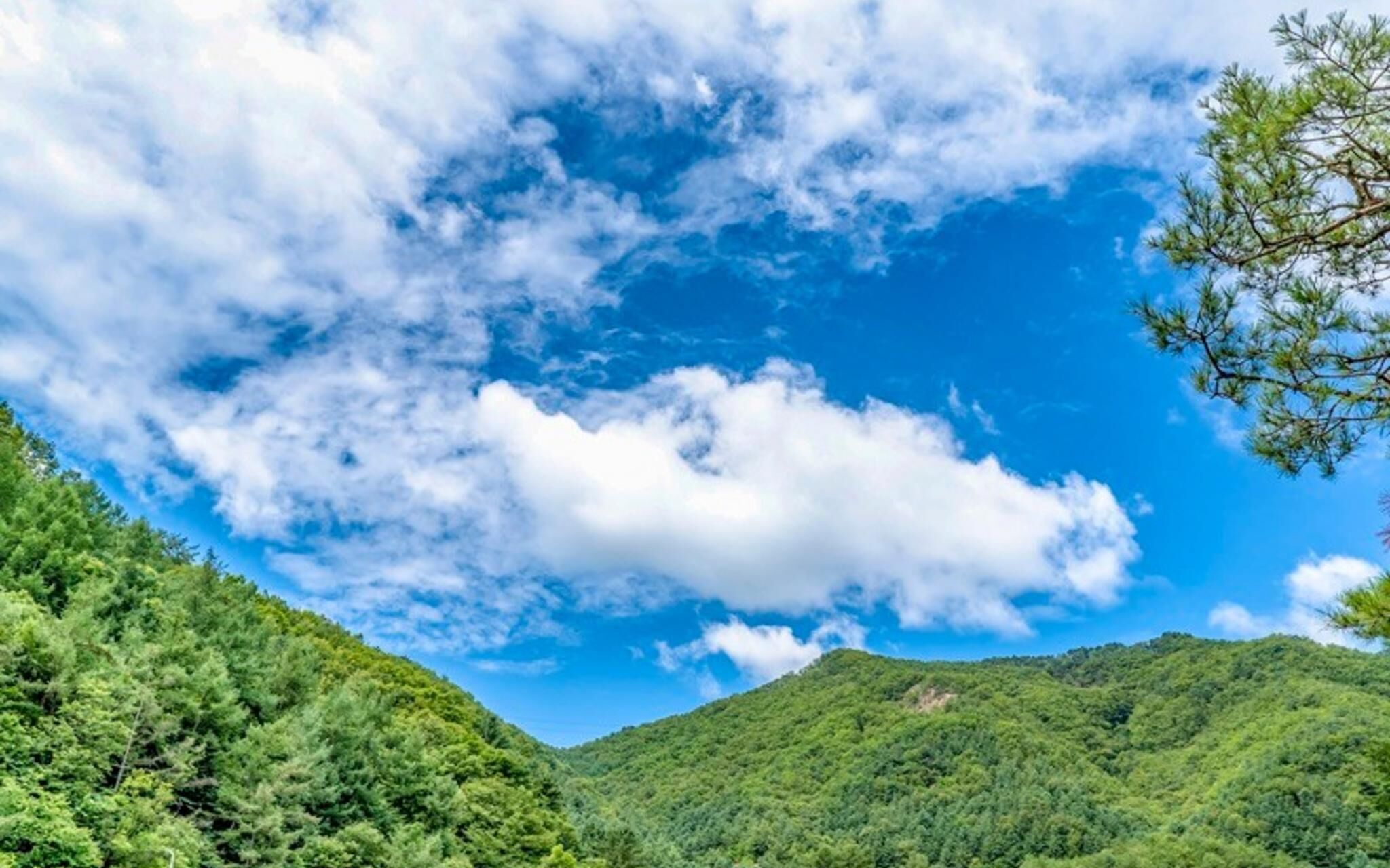 Yangpyeong Galgisan Forest Hill Pension