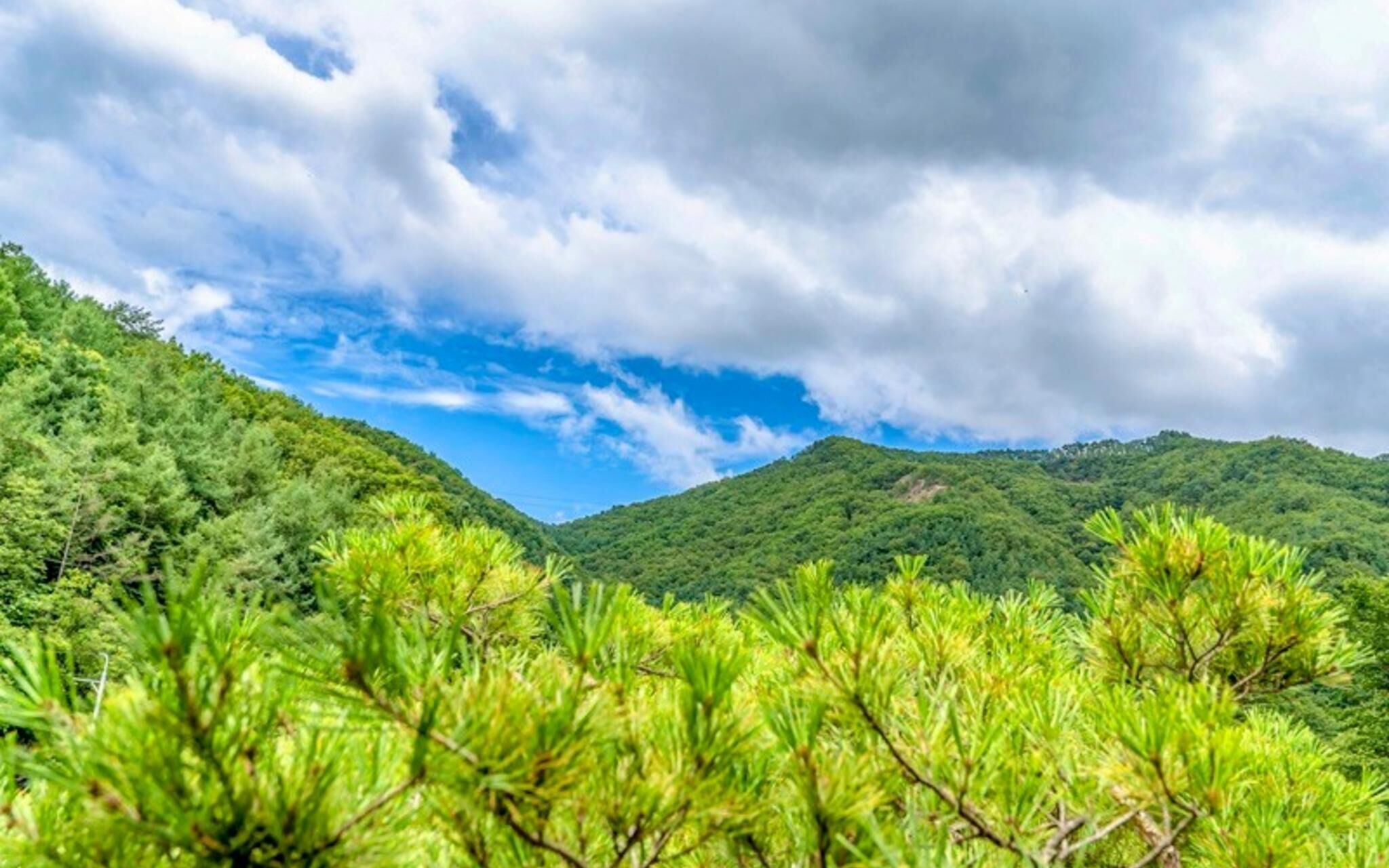 Yangpyeong Galgisan Forest Hill Pension