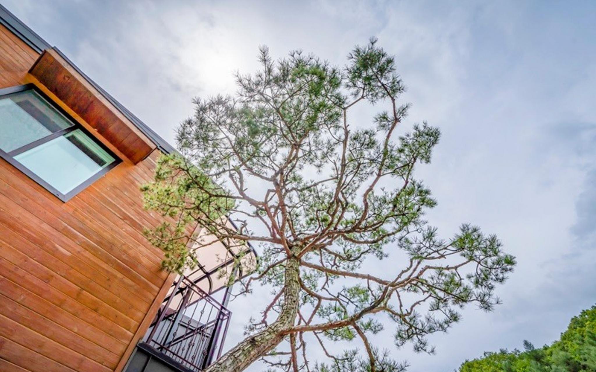 Yangpyeong Galgisan Forest Hill Pension