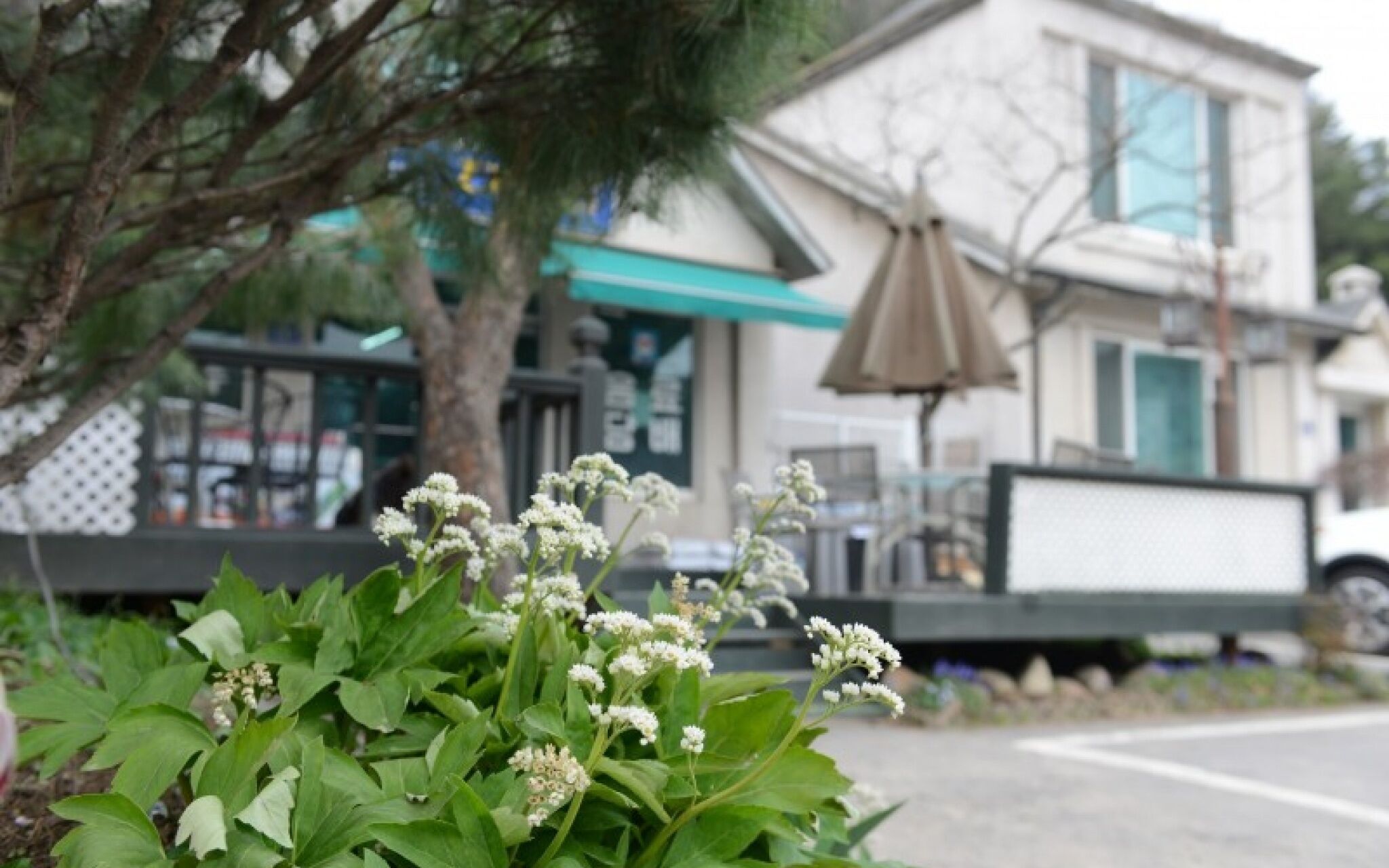 Yangpyeong Gewolga Pension