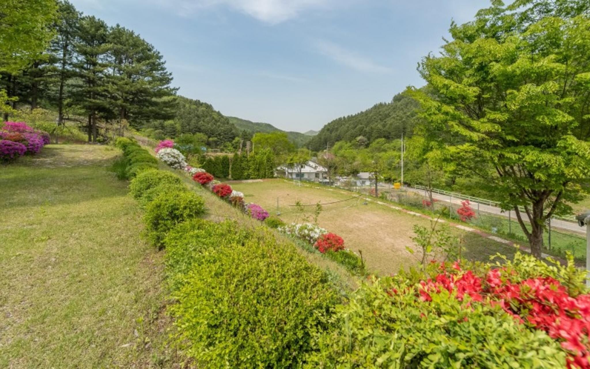 Yangpyeong Lemongrass Pension